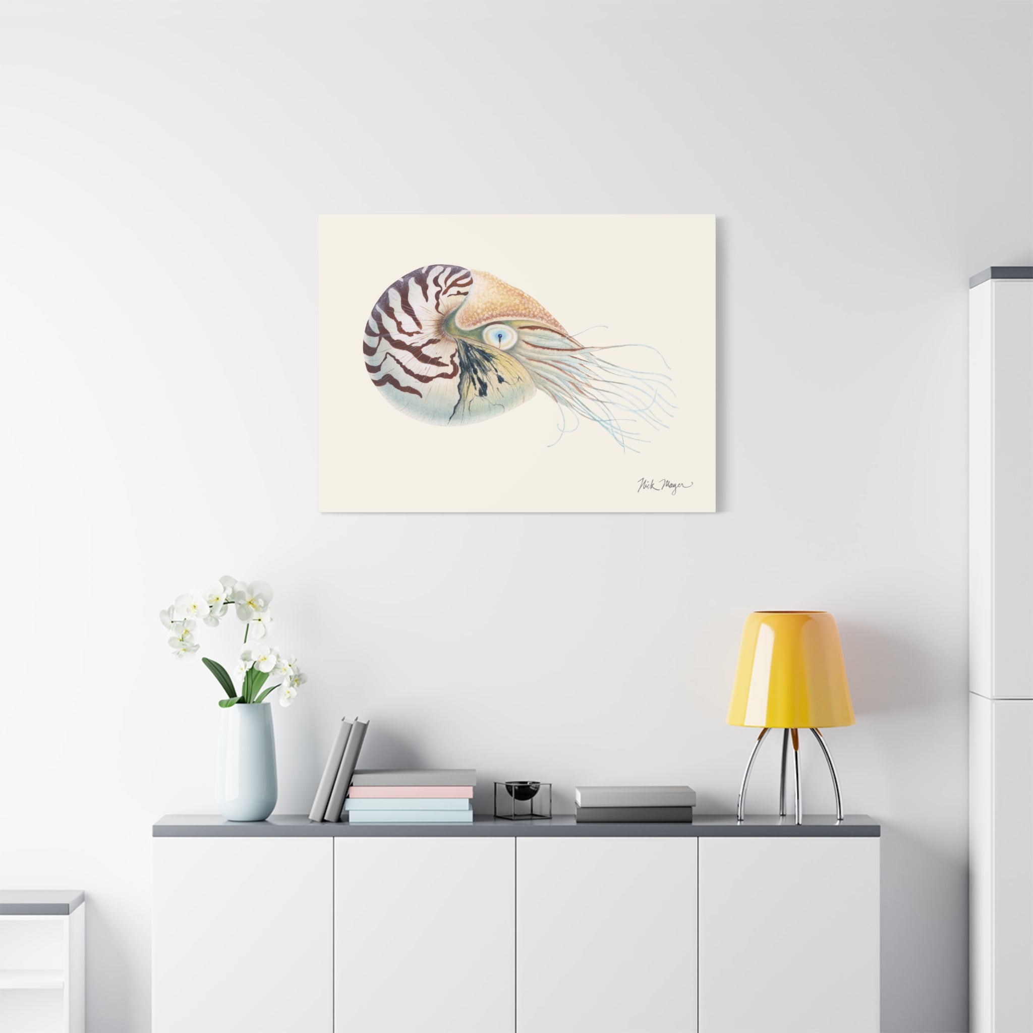 Chambered Nautilus Canvas Print