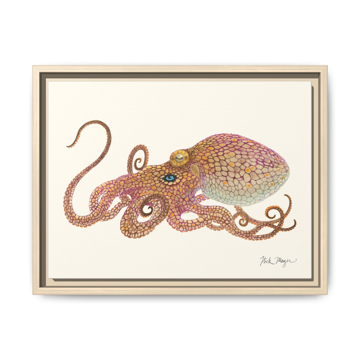 Two Spot Octopus Framed Canvas Print Printify