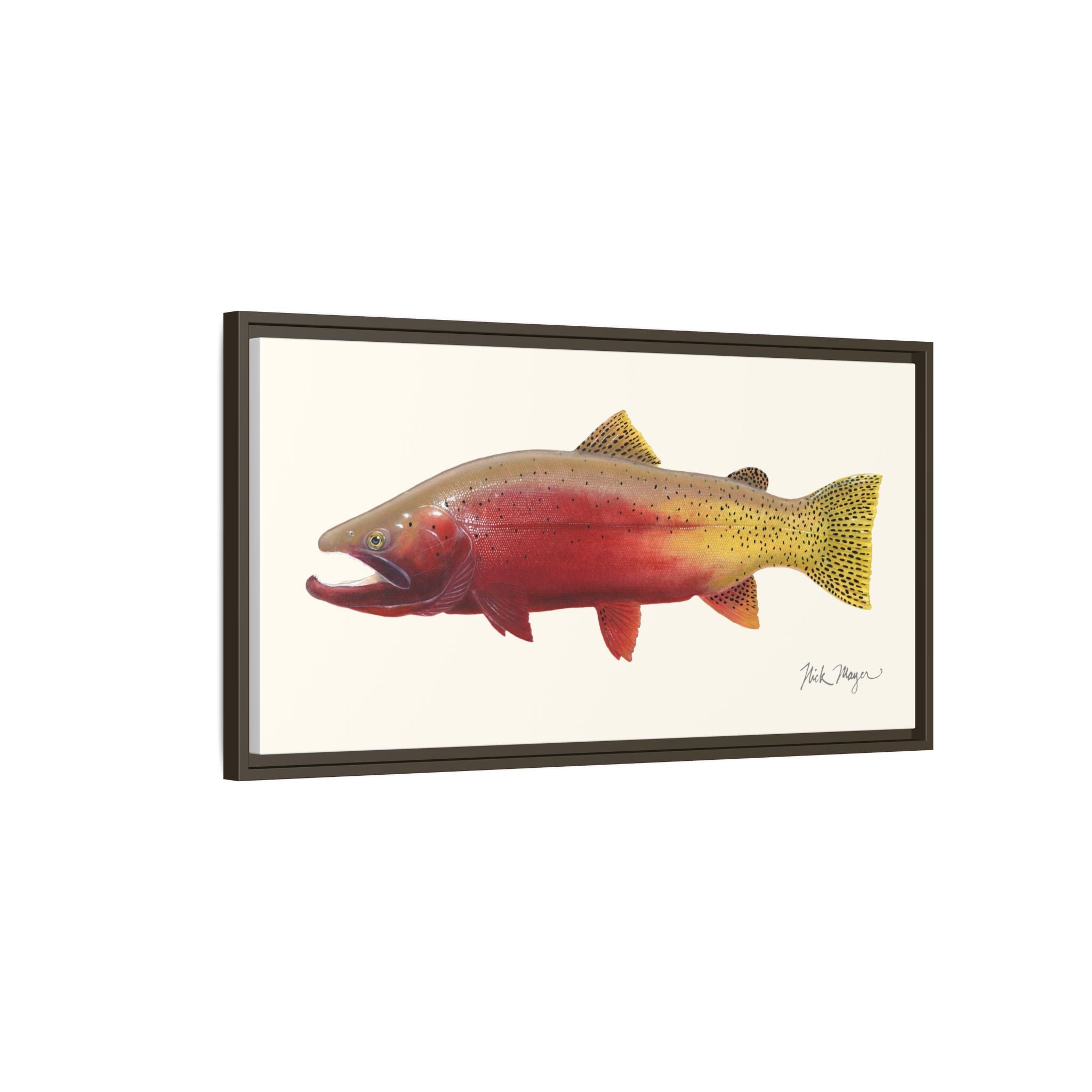 Cutthroat Trout II Framed Canvas Print Printify