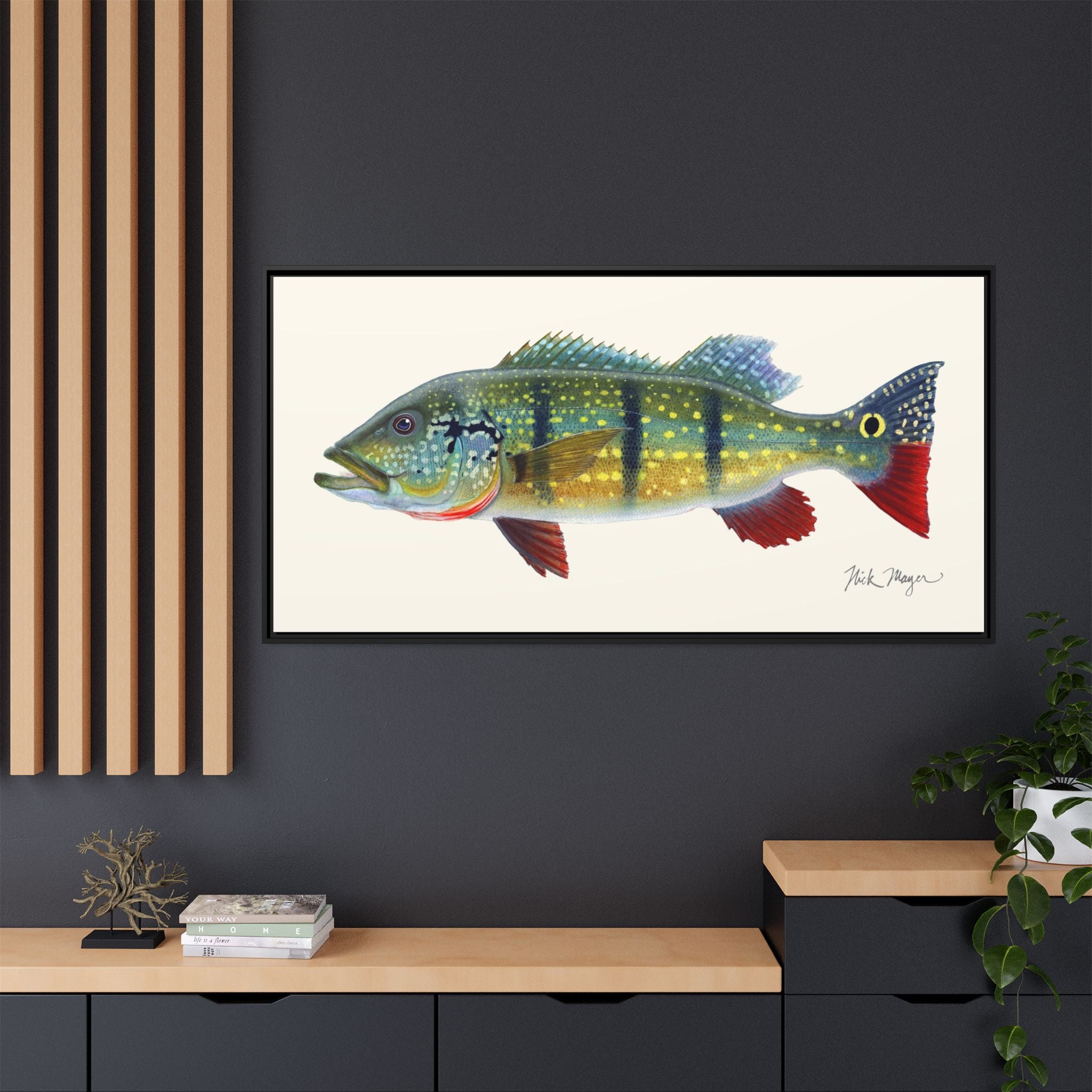 Peacock Bass Framed Canvas Print Printify