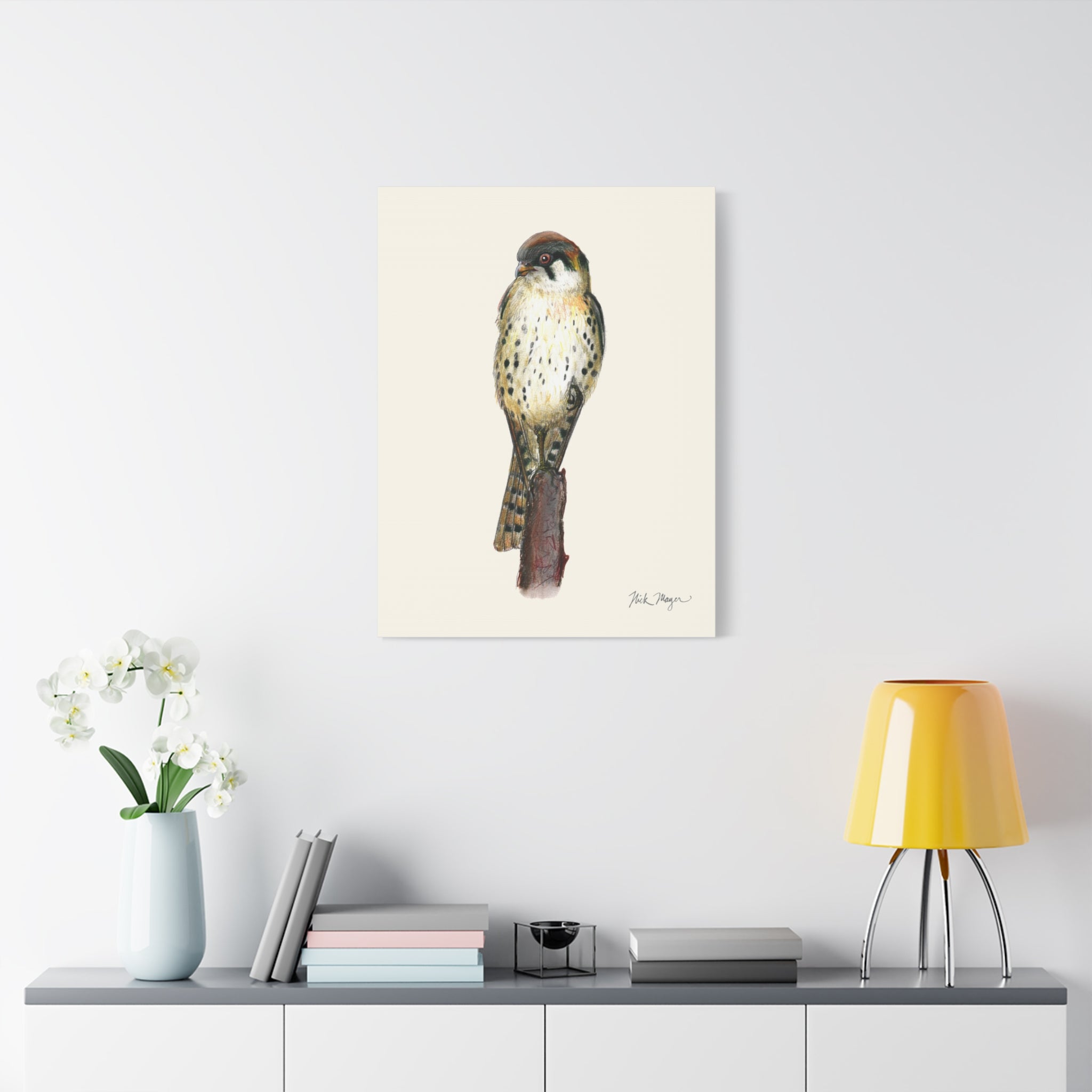 American Kestrel Canvas Print