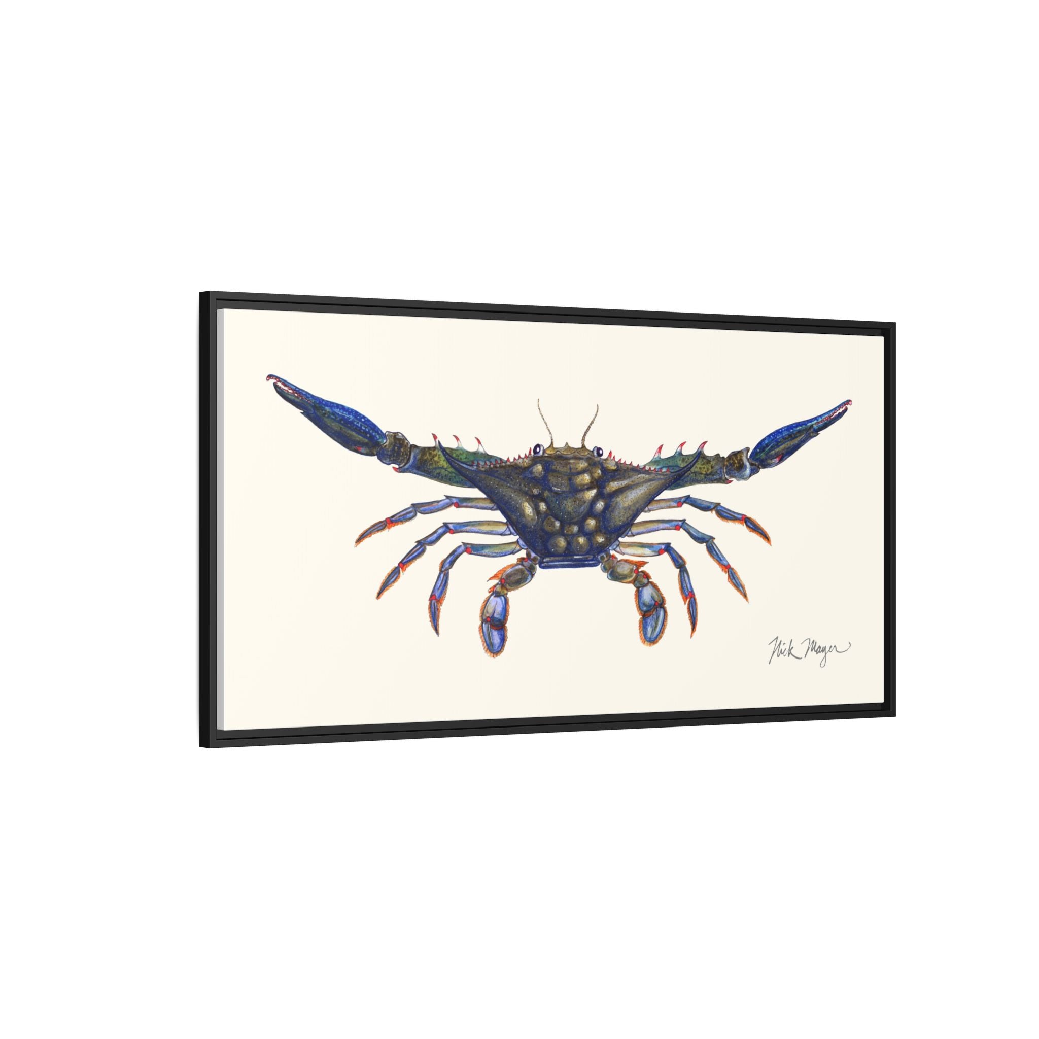 Blue Crab, Claws Out Framed Canvas Print Printify