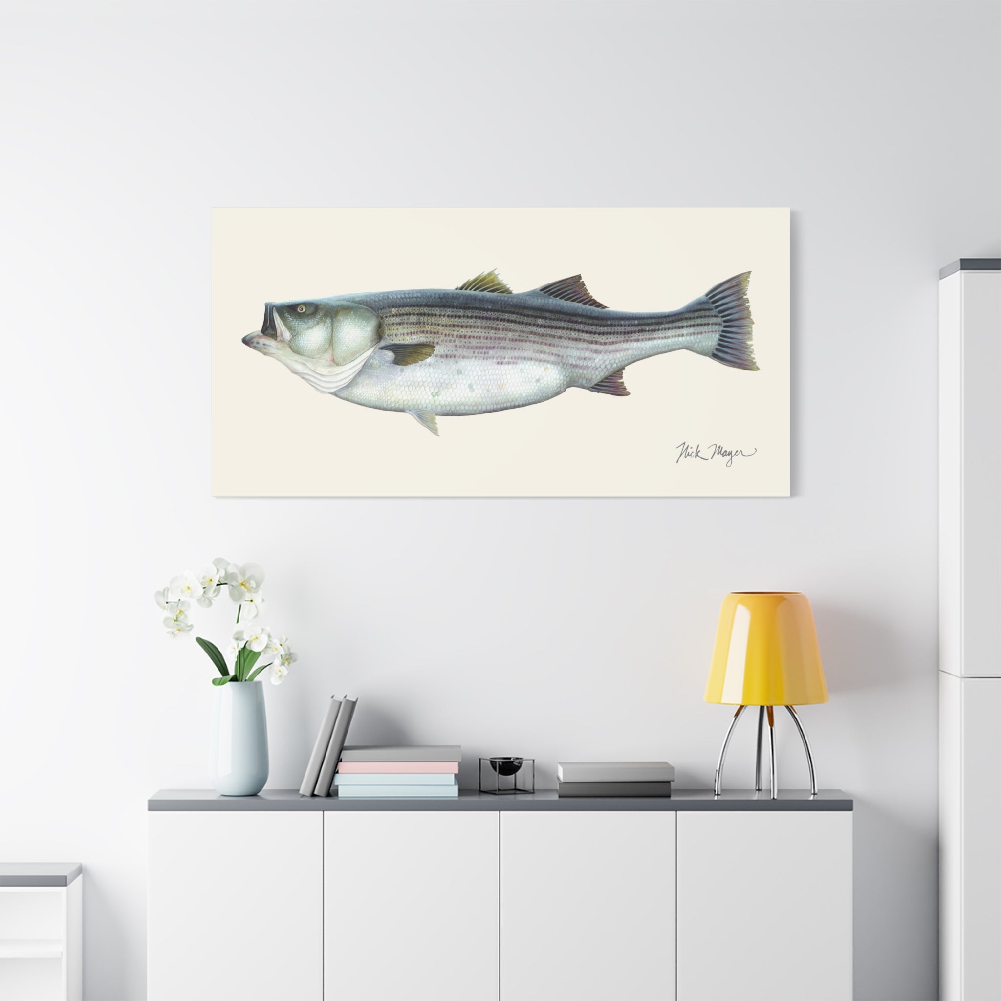 Striped Bass 60 lbs Canvas Print
