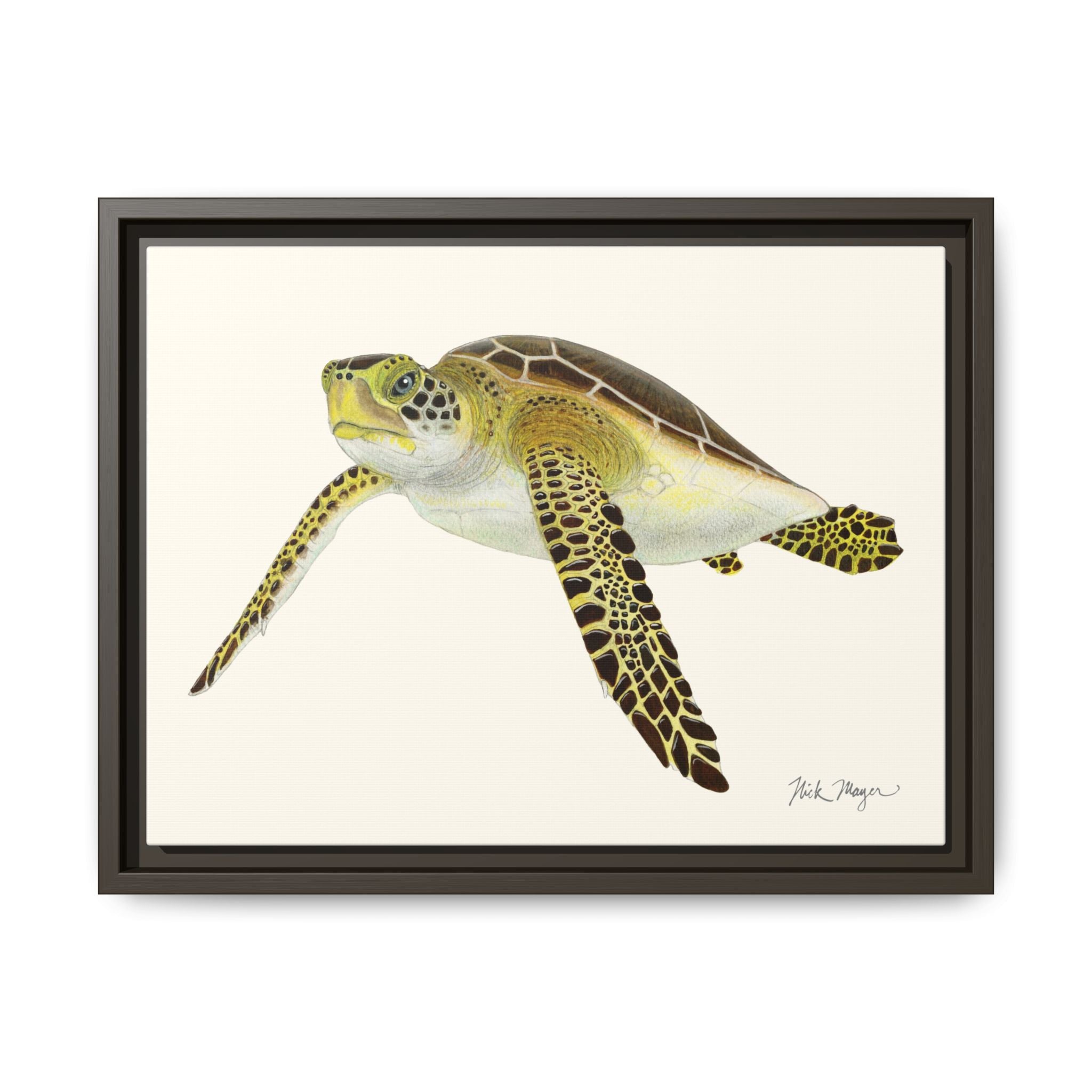 Green Sea Turtle III Framed Canvas Print Printify