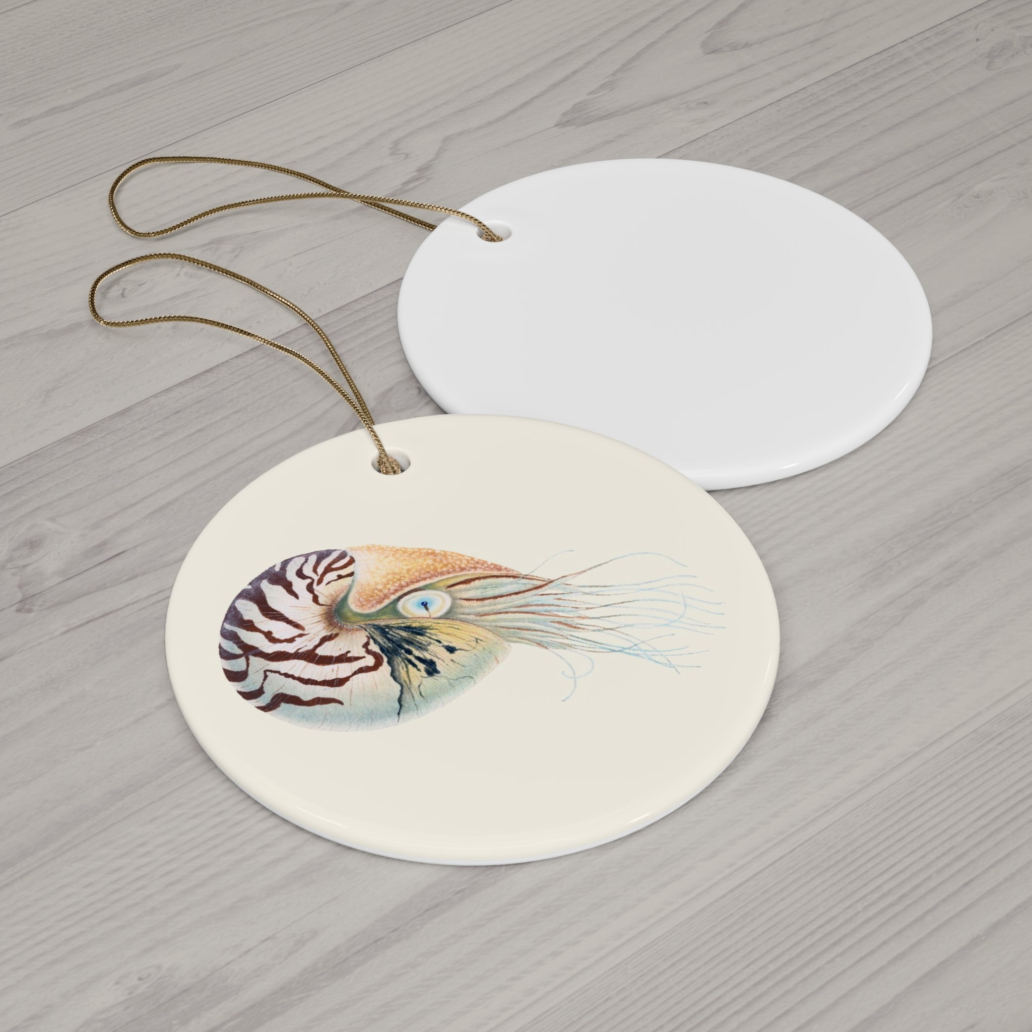 Chambered Nautilus Ceramic Ornament