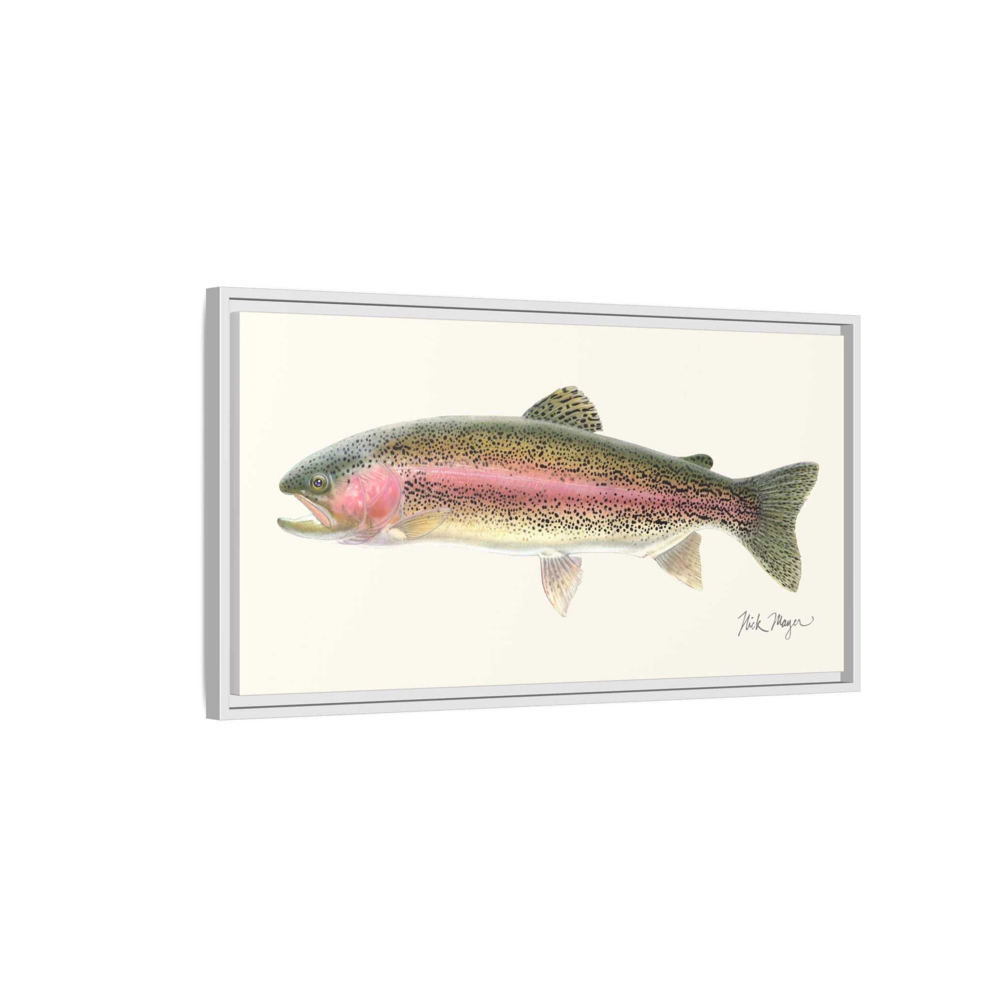 Rainbow Trout Framed Canvas Print Printify