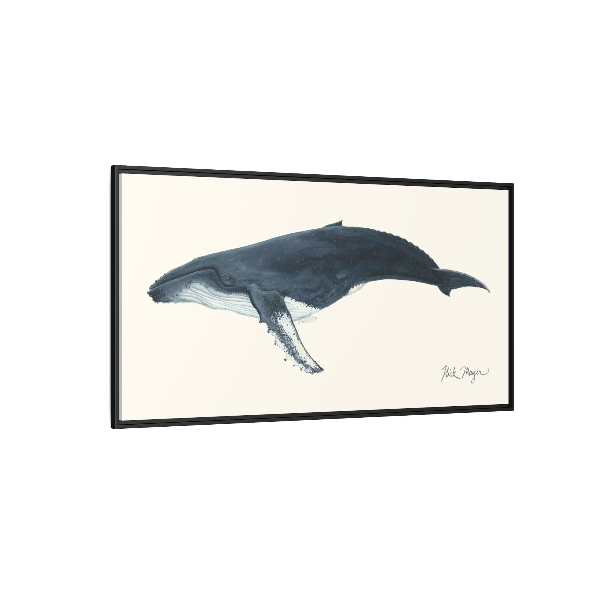 Humpback Whale Framed Canvas Print Printify