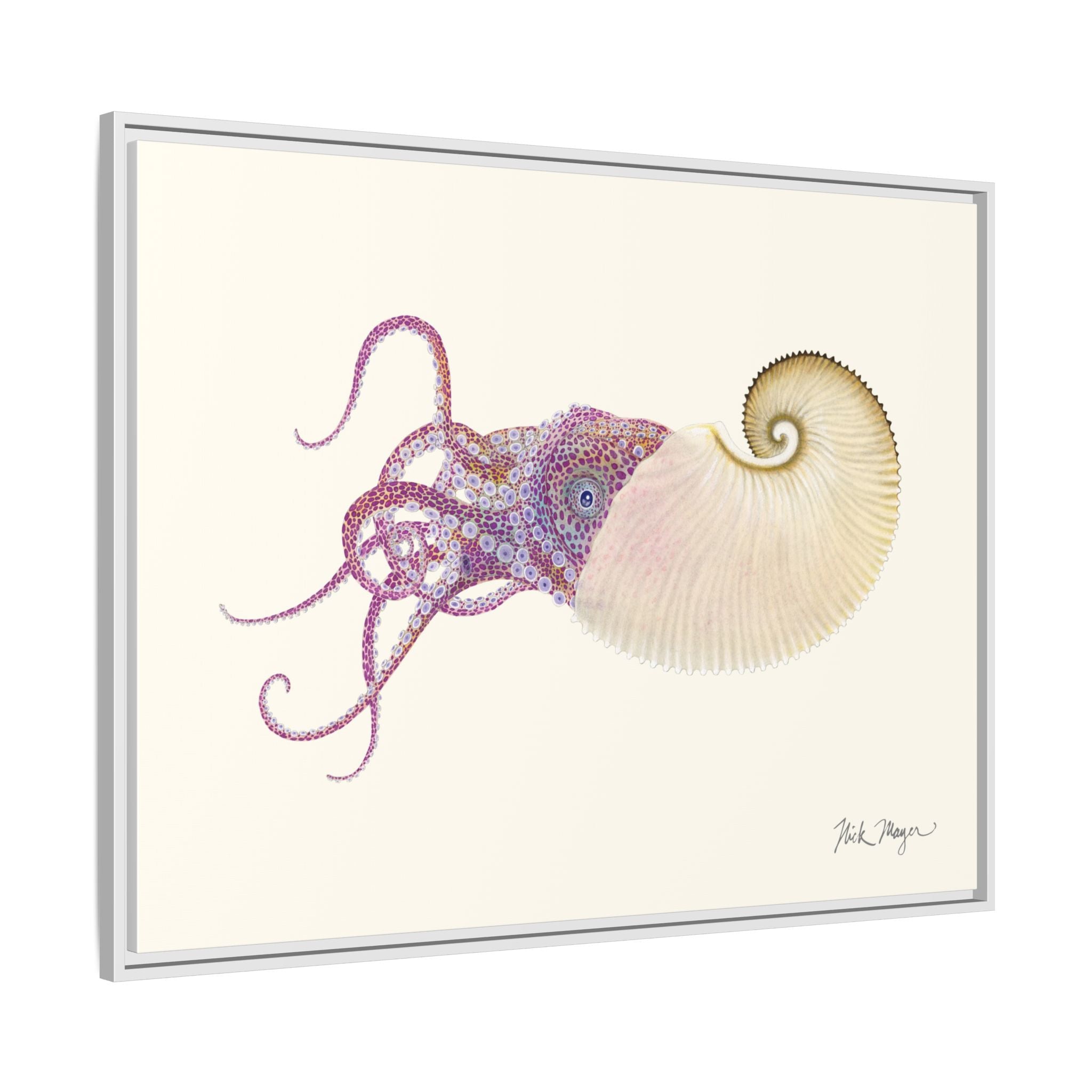 Paper Nautilus Framed Canvas Print Printify