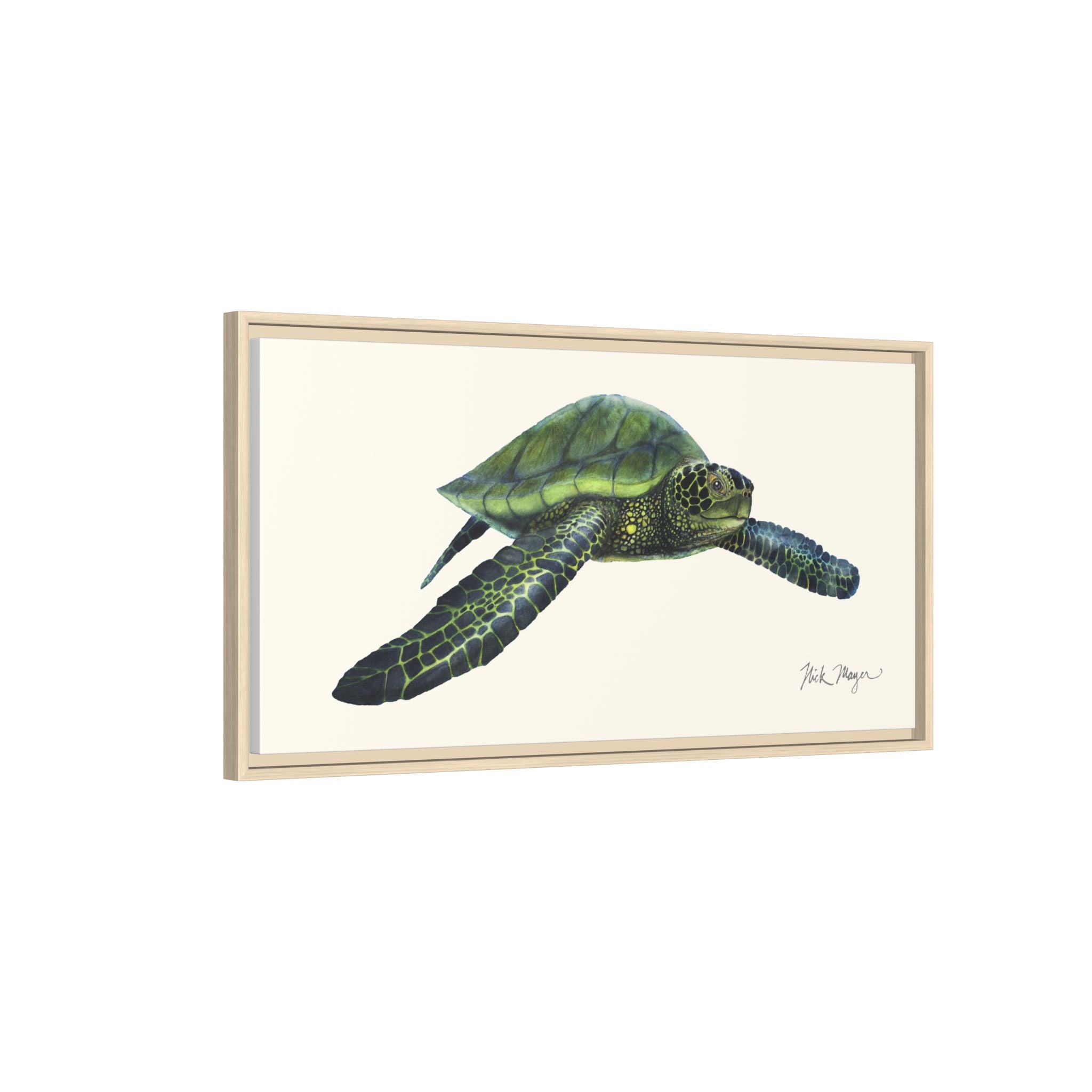 Green Sea Turtle I Framed Canvas Print Printify