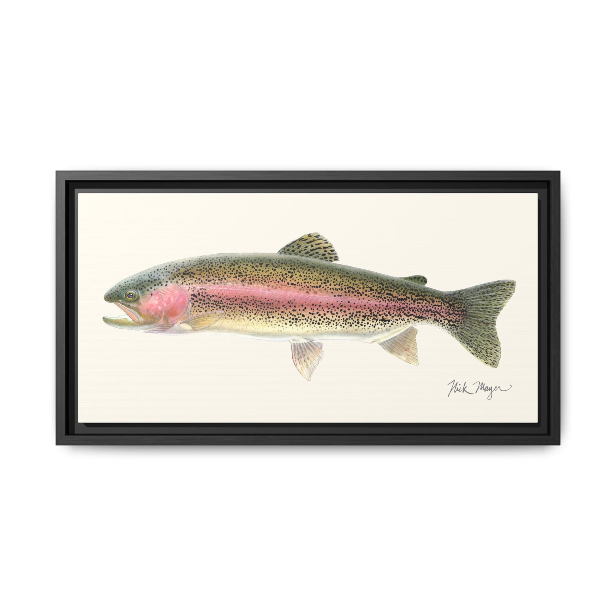 Rainbow Trout Framed Canvas Print Printify
