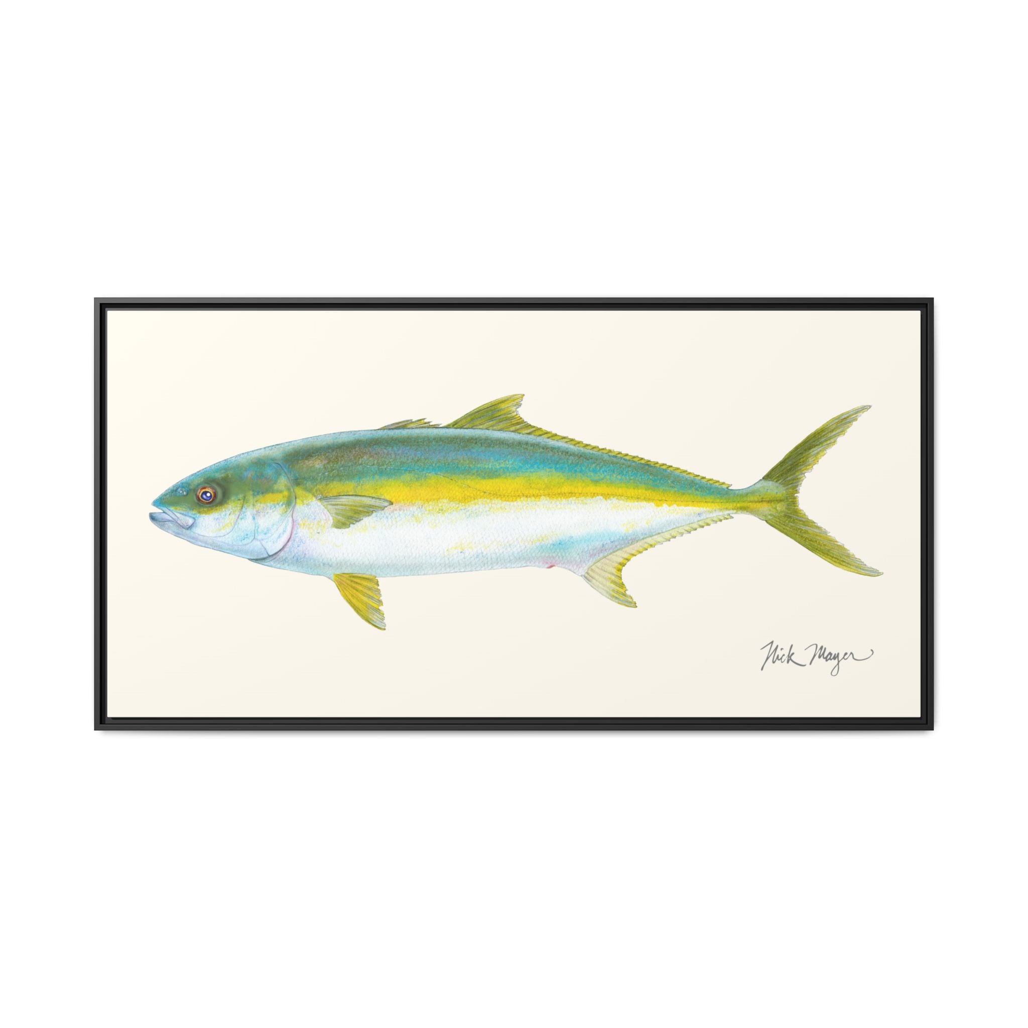 California Yellowtail I Framed Canvas Print Printify