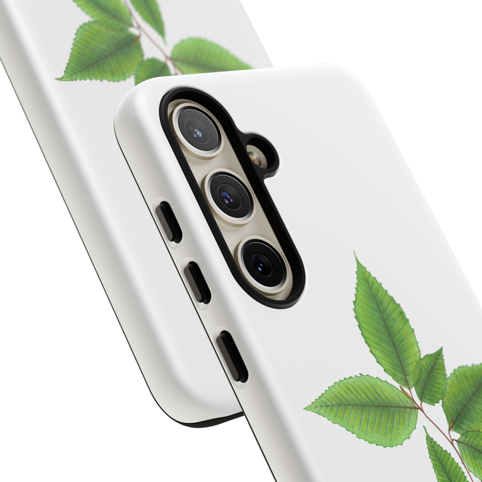 American Beech Phone Case (Samsung)