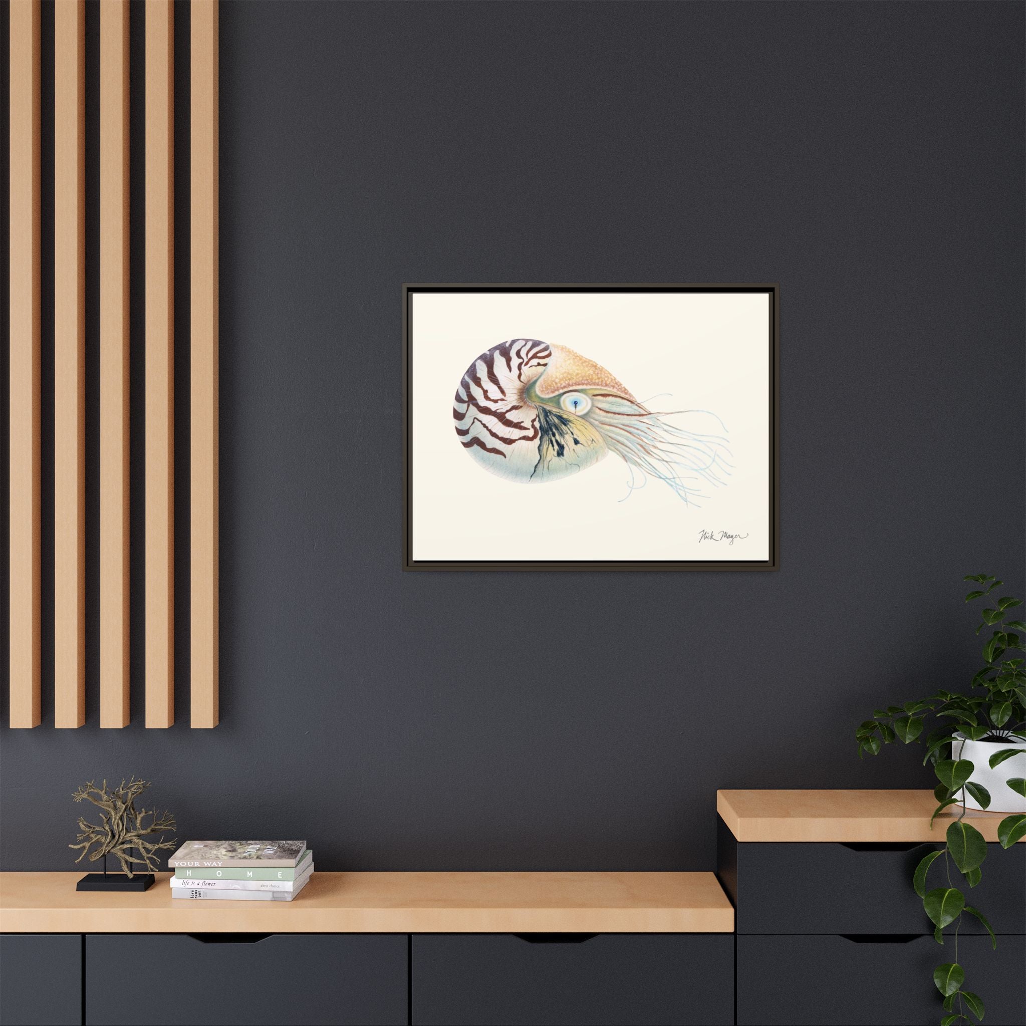 Chambered Nautilus Framed Canvas Print Printify