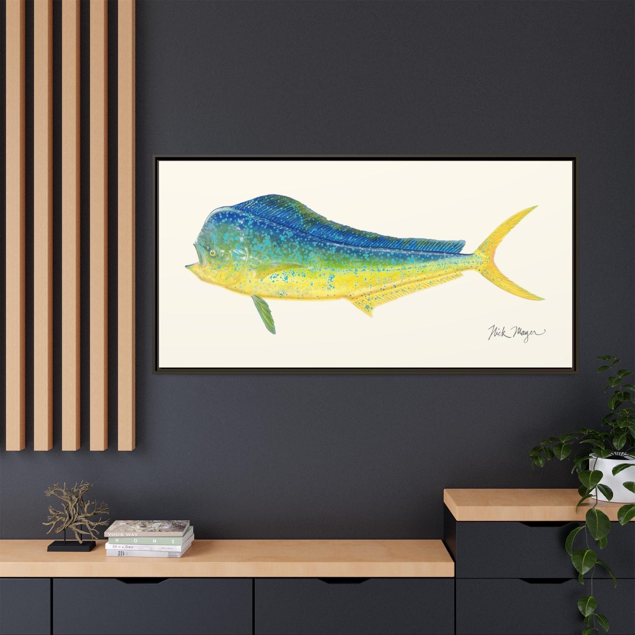 Bull Mahi Mahi Framed Canvas Print