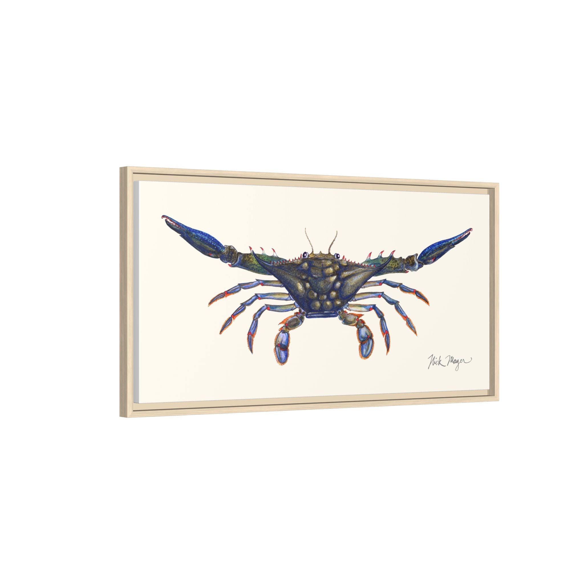 Blue Crab, Claws Out Framed Canvas Print Printify