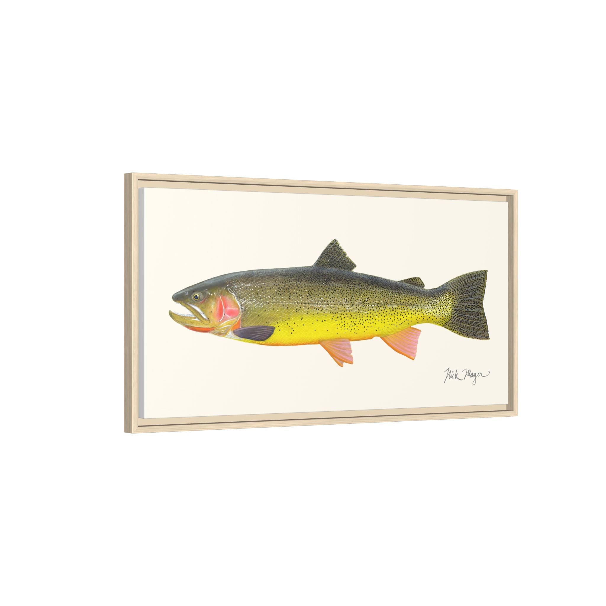 Cutthroat Trout III Framed Canvas Print Printify