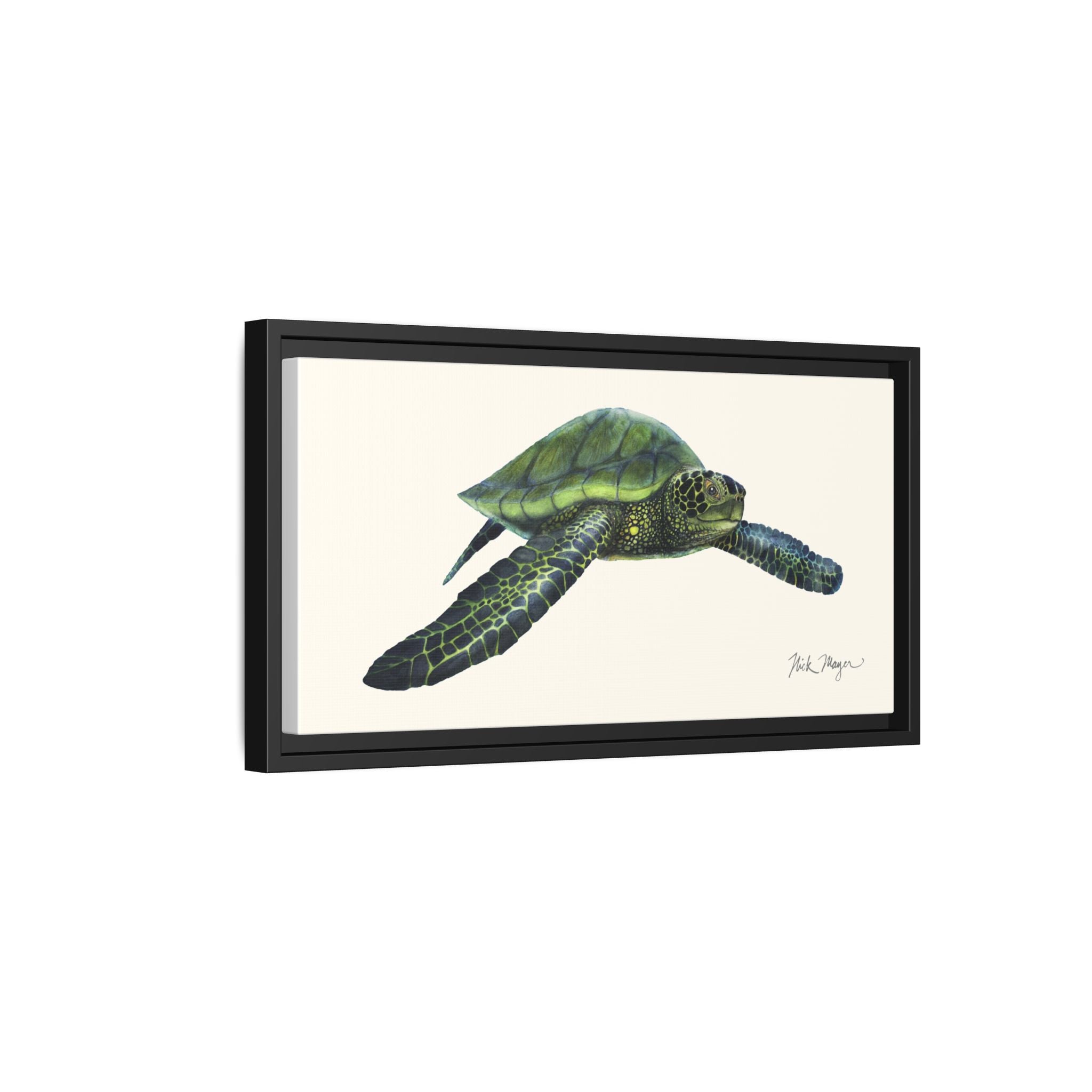 Green Sea Turtle I Framed Canvas Print Printify