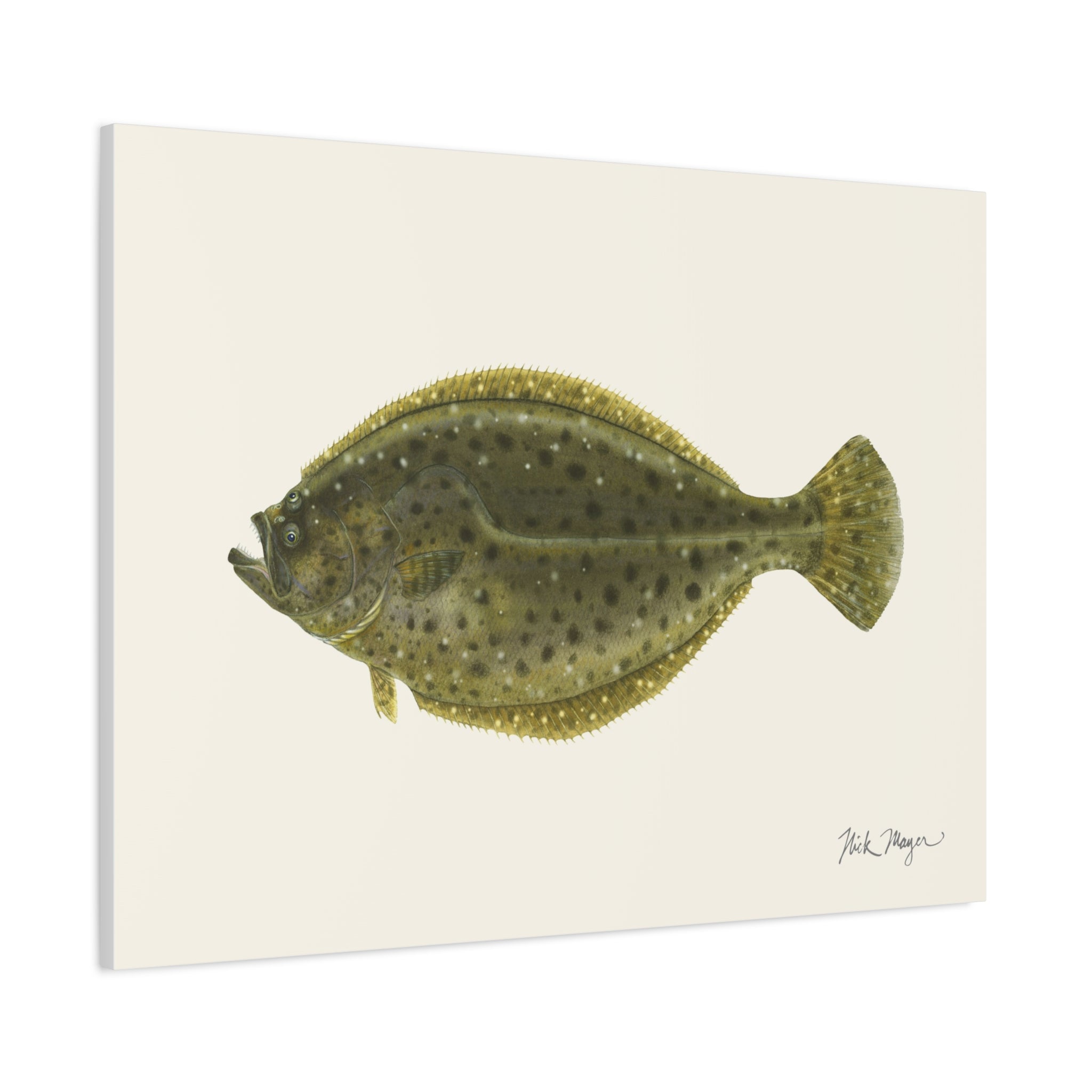 Fluke Canvas Print