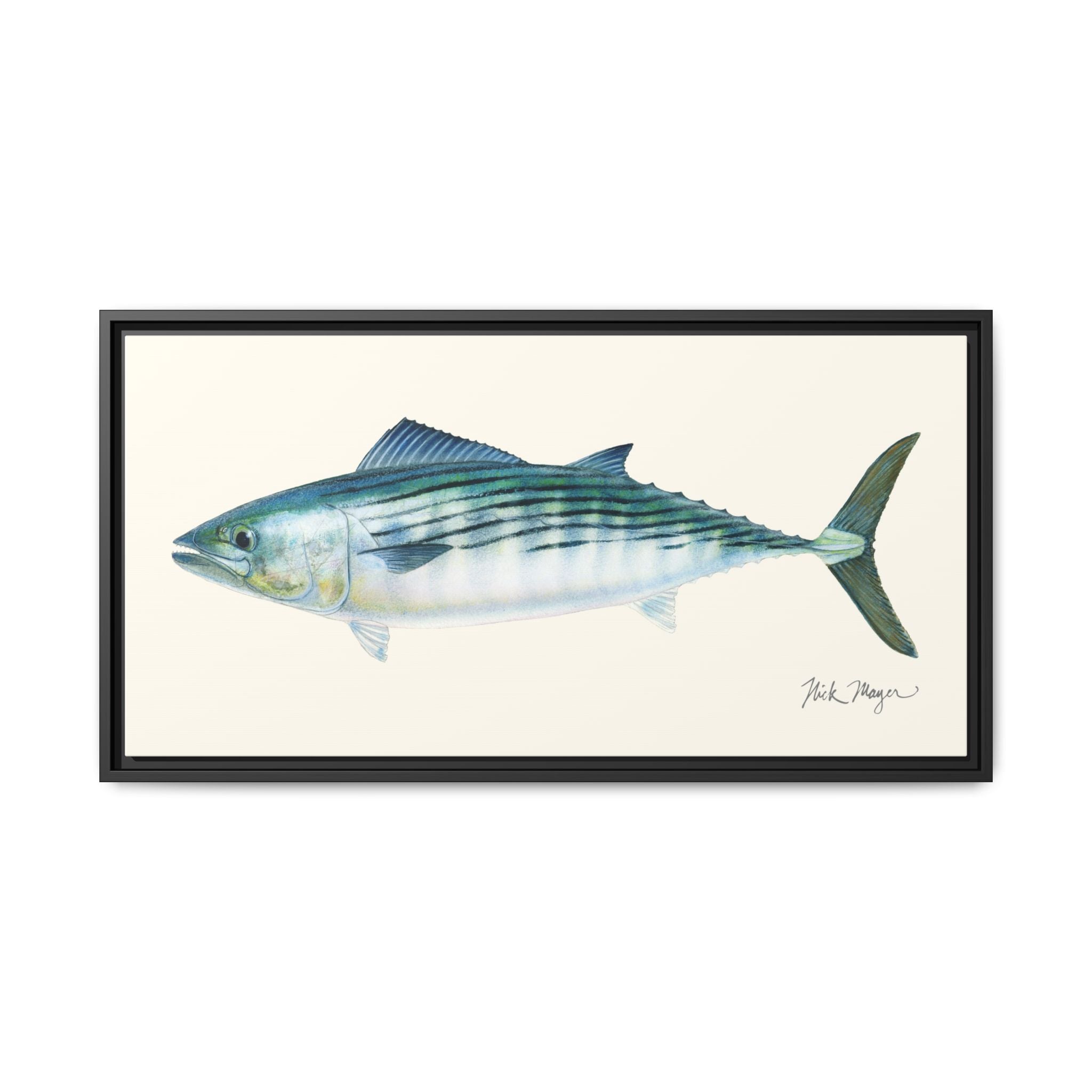 Bonito Framed Canvas Print Printify