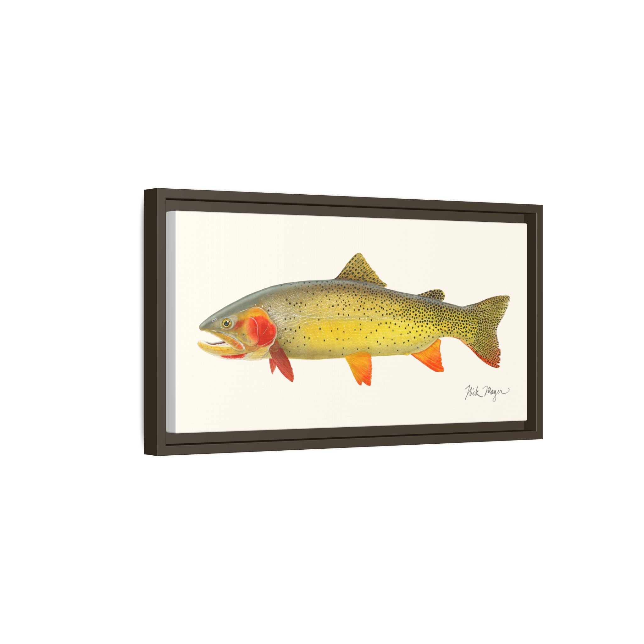 Cutthroat Trout I Framed Canvas Print Printify