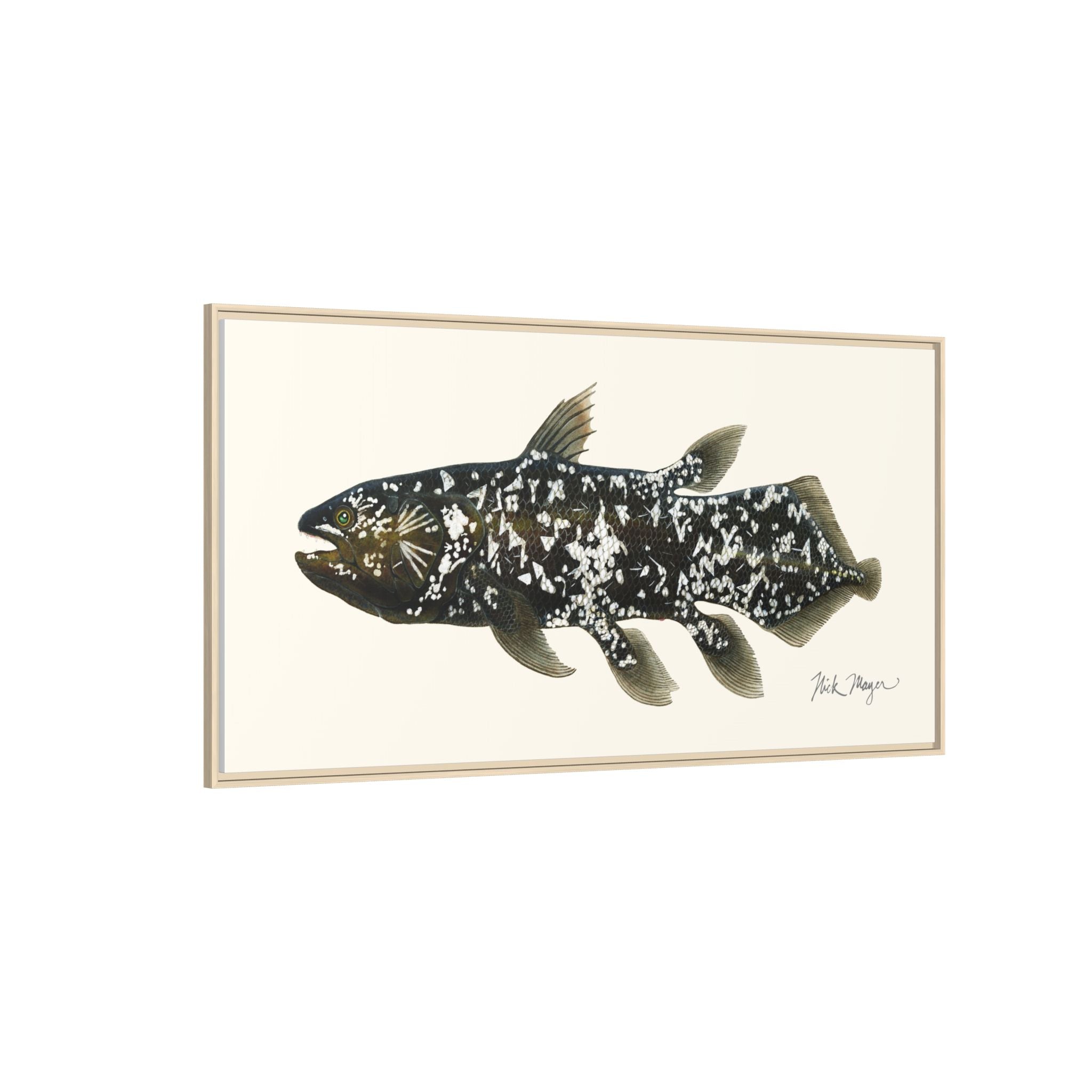 Coelacanth Framed Canvas Print Printify