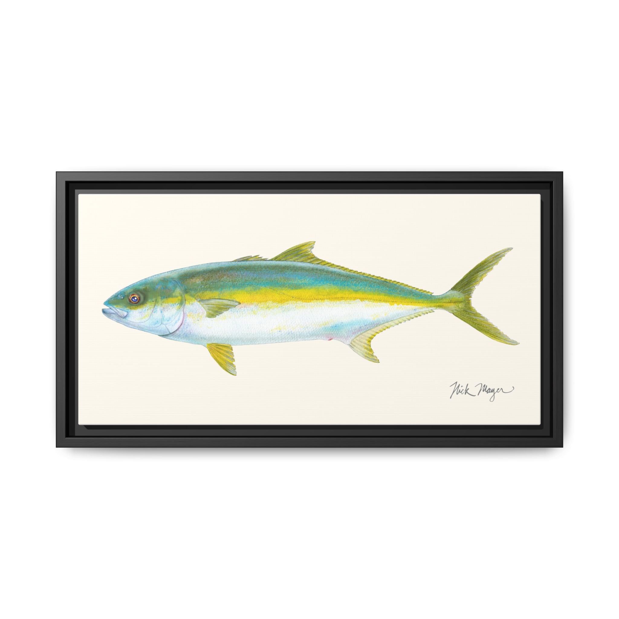 California Yellowtail I Framed Canvas Print Printify