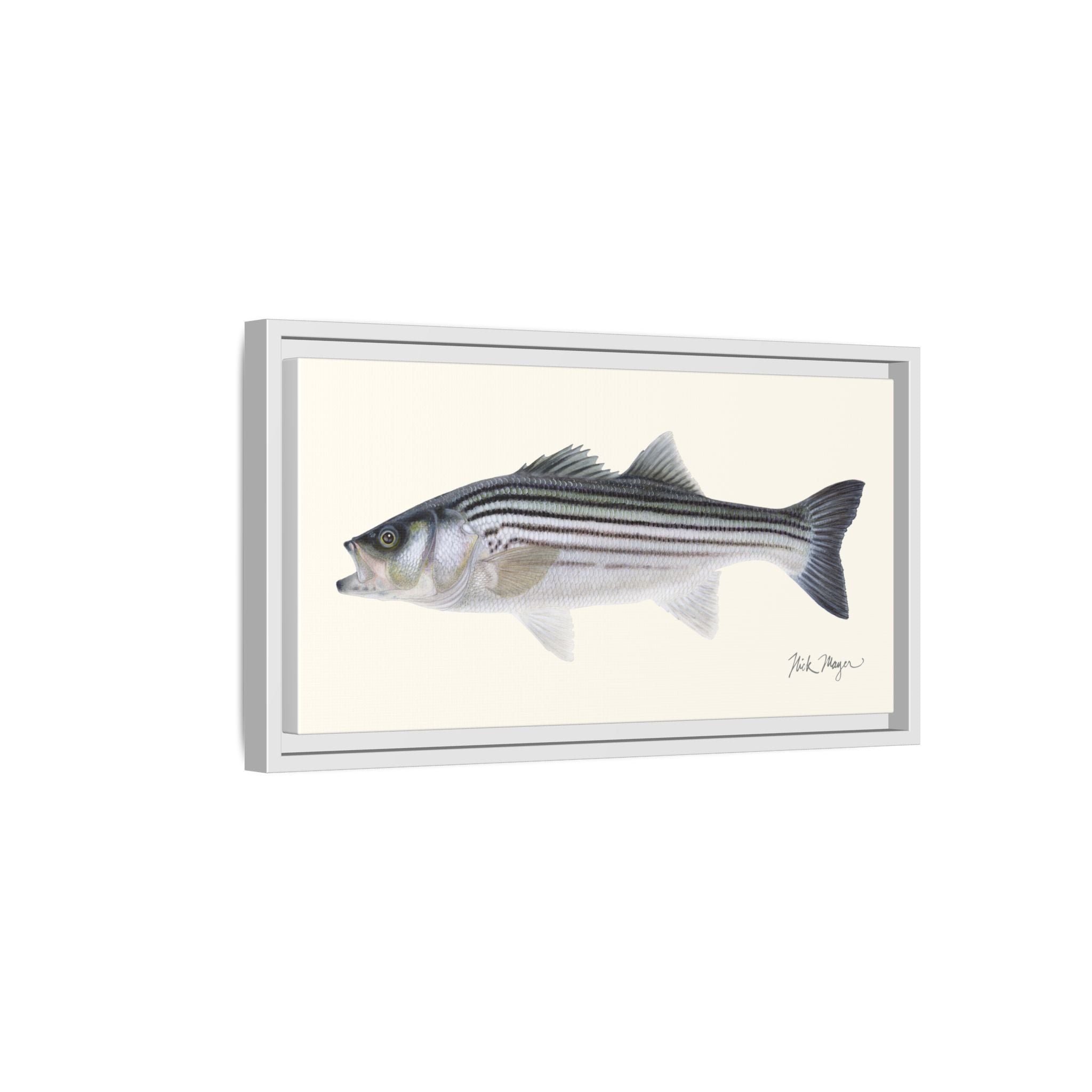 Schoolie Striped Bass Framed Canvas Print Printify