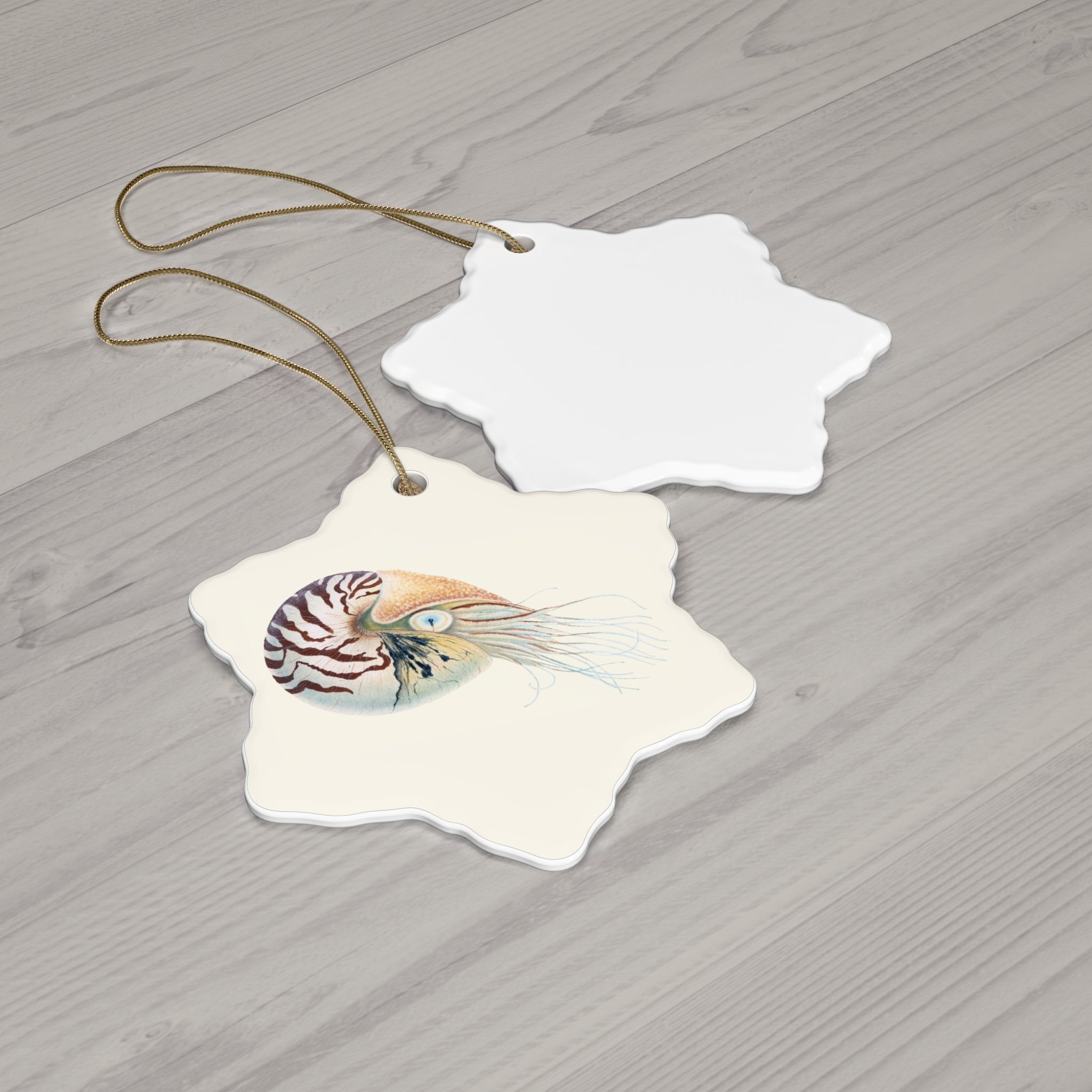 Chambered Nautilus Ceramic Ornament