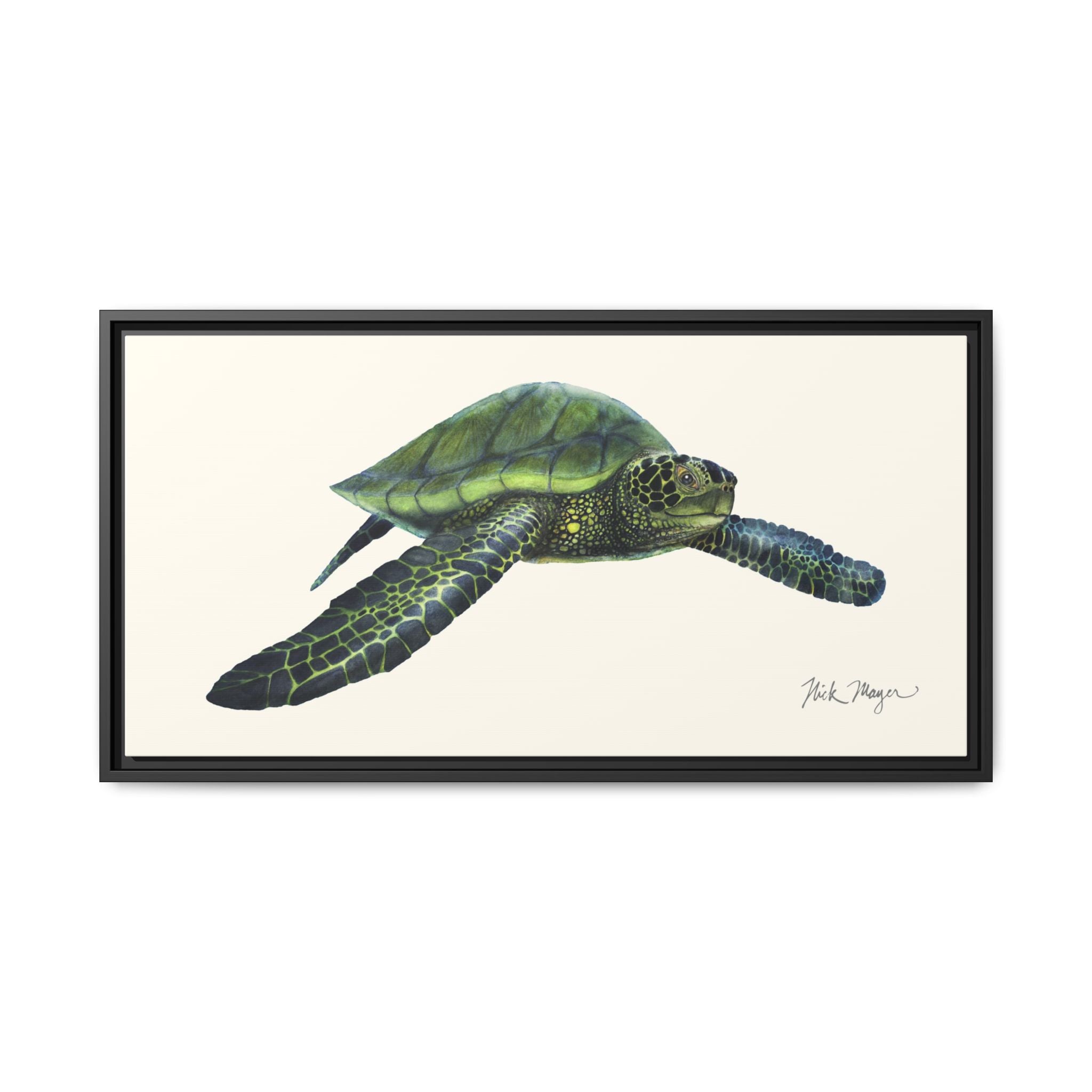 Green Sea Turtle I Framed Canvas Print Printify