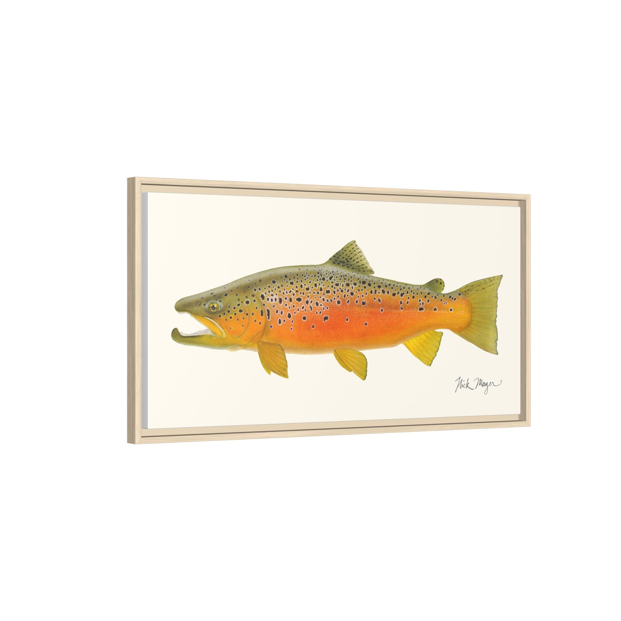 Brown Trout II Framed Canvas Print Printify
