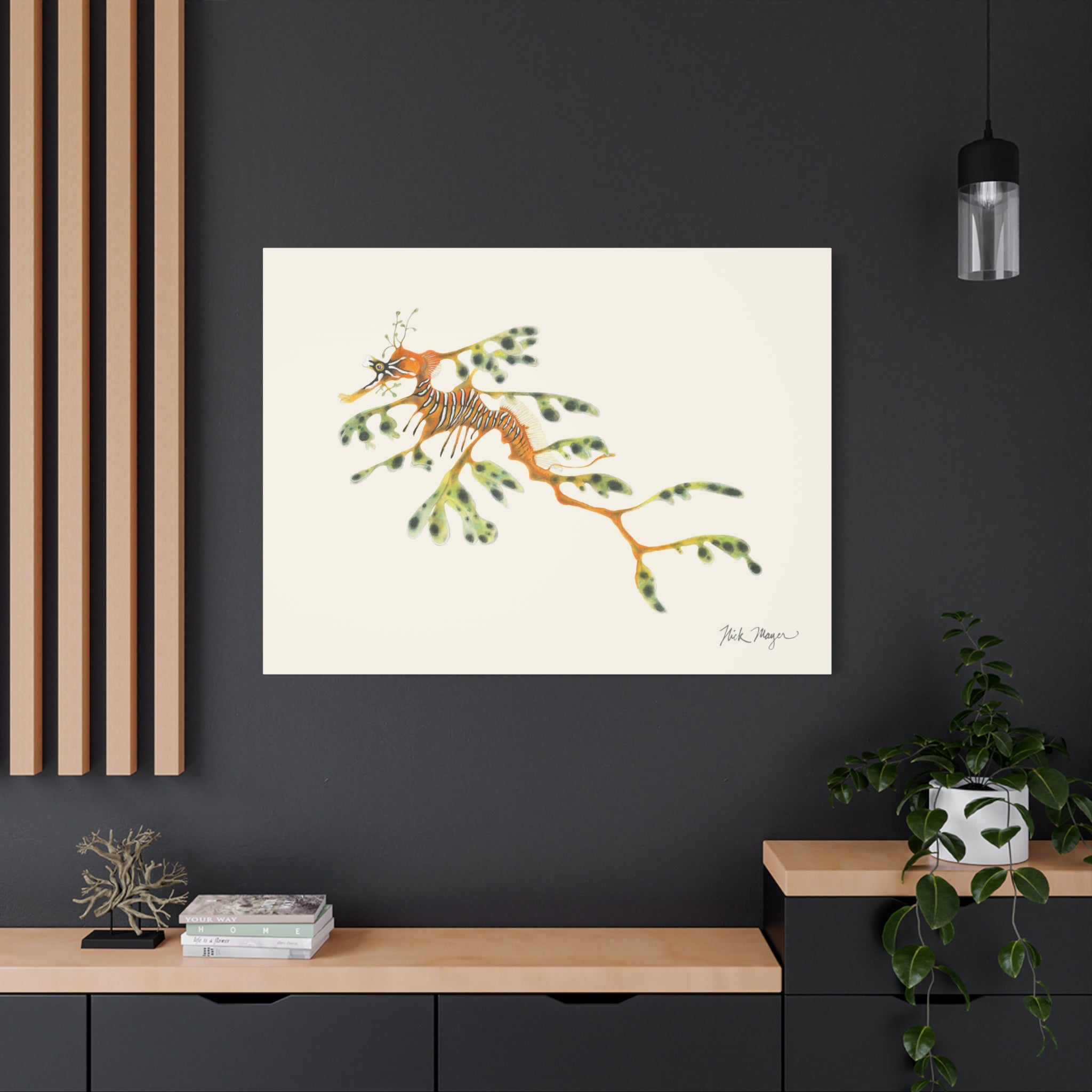 Leafy Sea Dragon Canvas Print