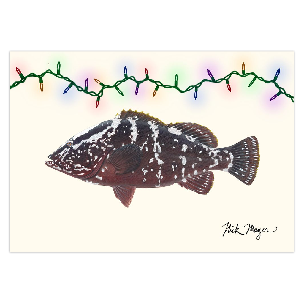 Grouper Lights 1 Christmas Cards - NEW for 2024!