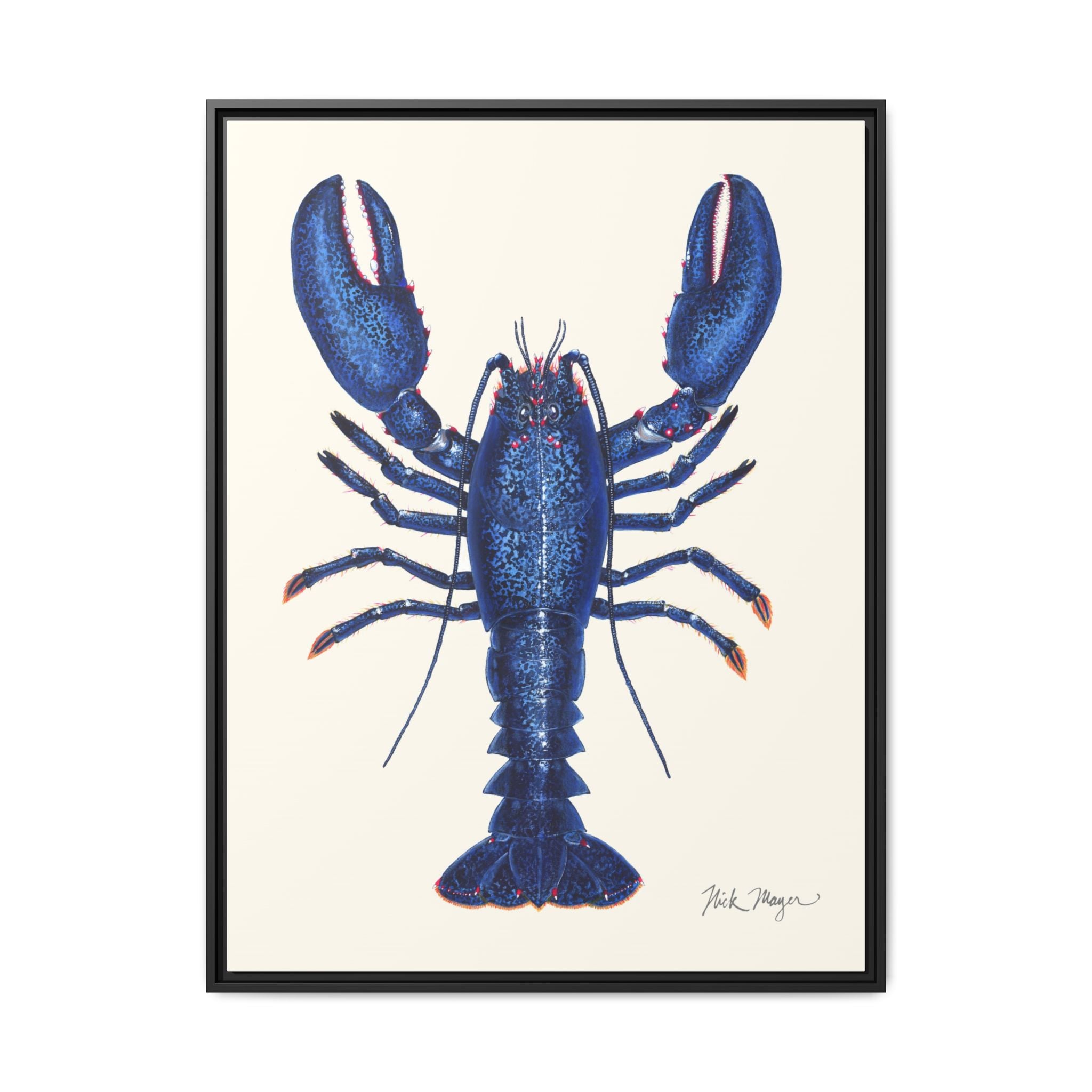 Blue Lobster II Framed Canvas Print