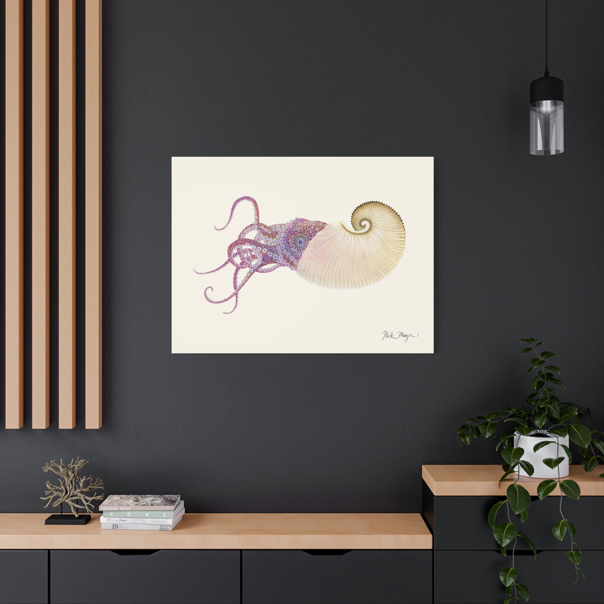 Paper Nautilus Canvas Print