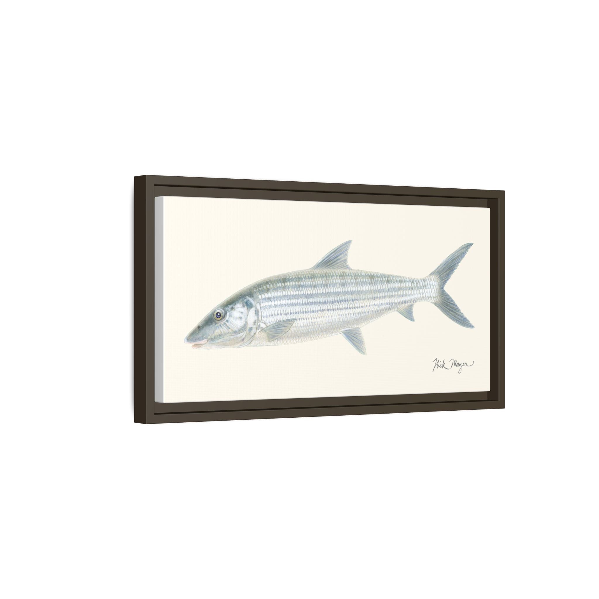 Bonefish Framed Canvas Print Printify