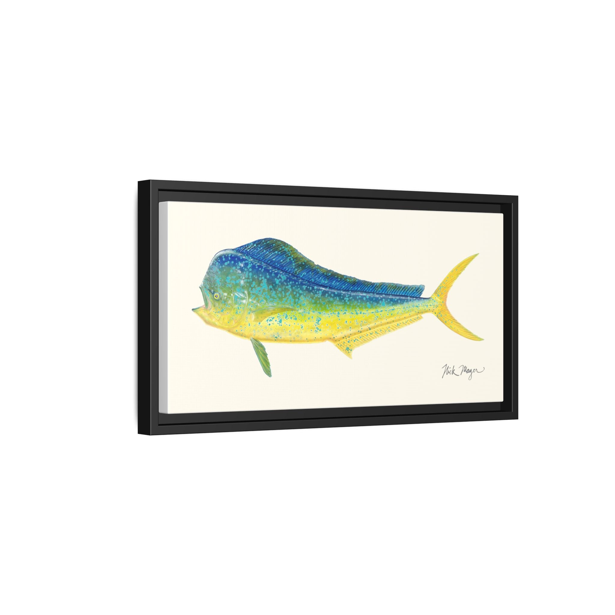 Bull Mahi Mahi Framed Canvas Print