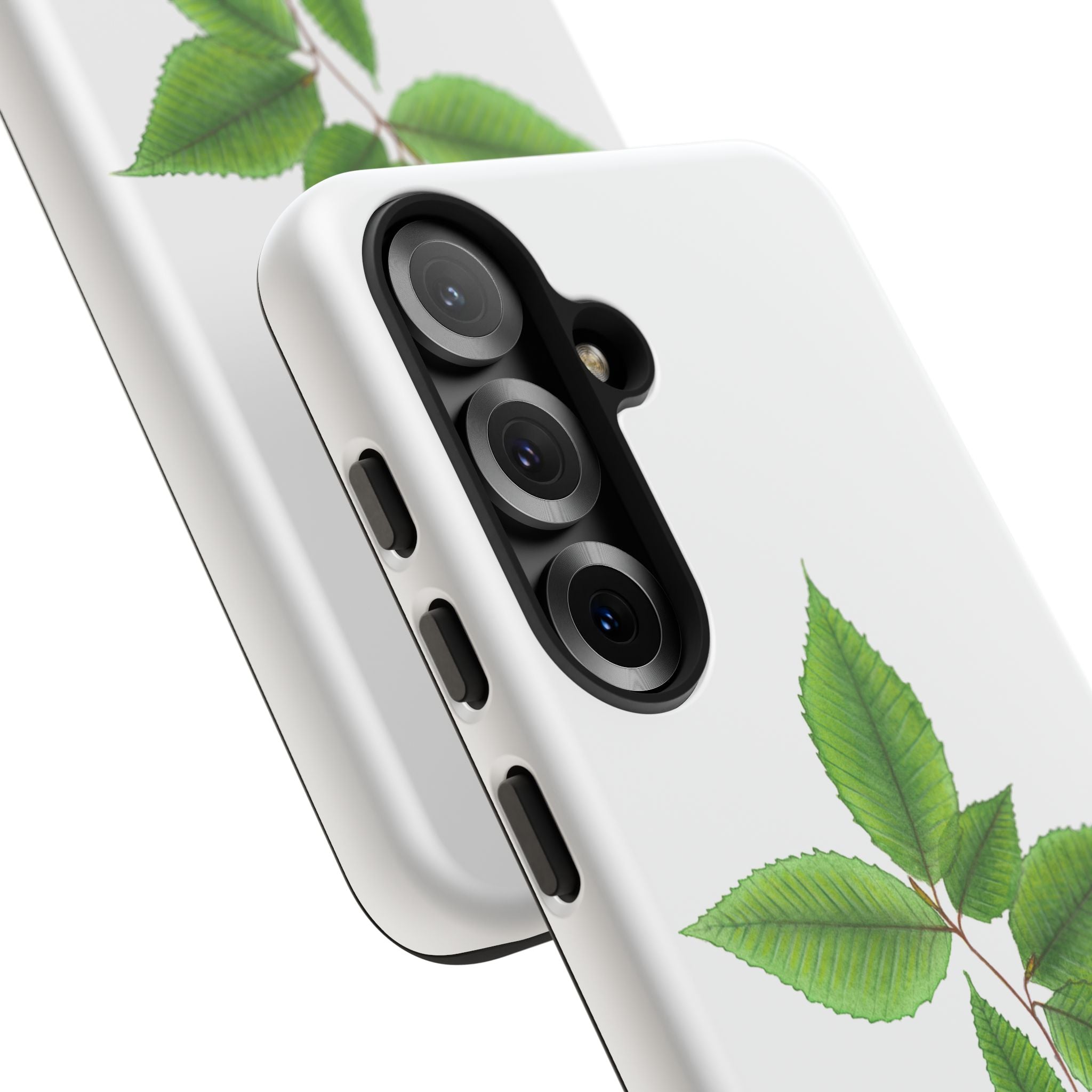 American Beech Phone Case (Samsung)