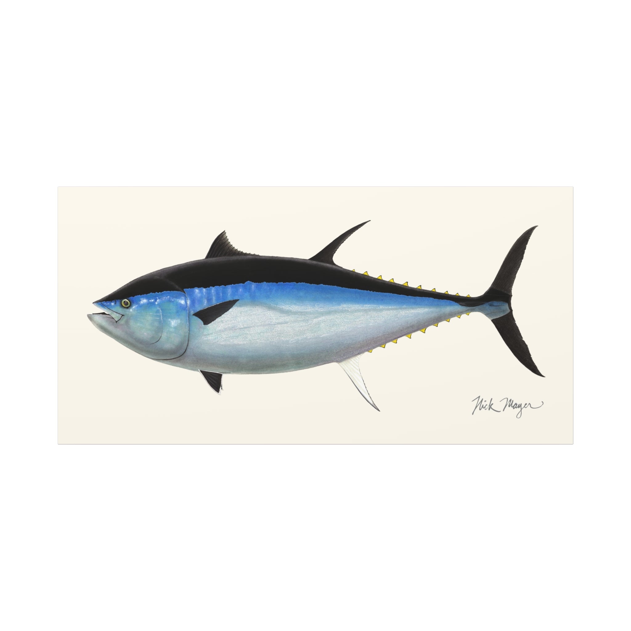 Giant Bluefin Tuna III Canvas Print