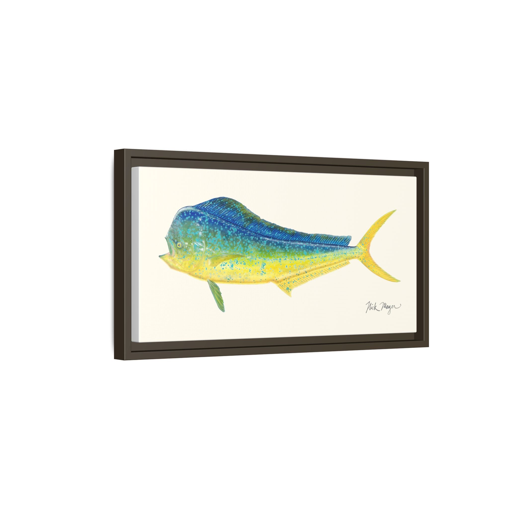 Bull Mahi Mahi Framed Canvas Print