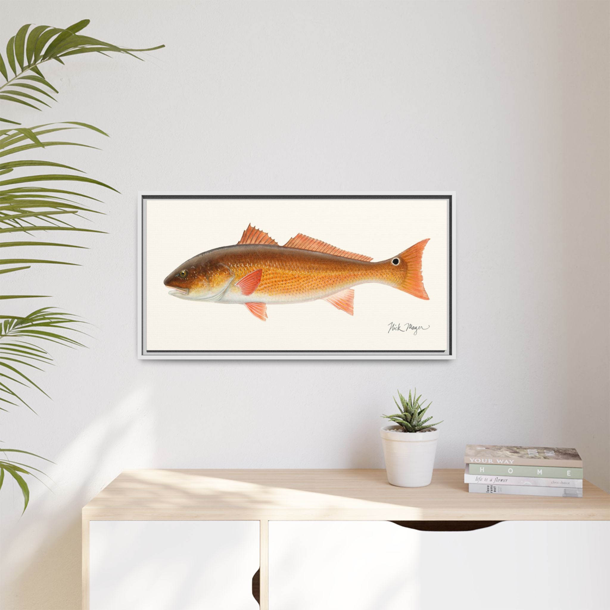 Redfish, 15 lbs Framed Canvas Print Printify