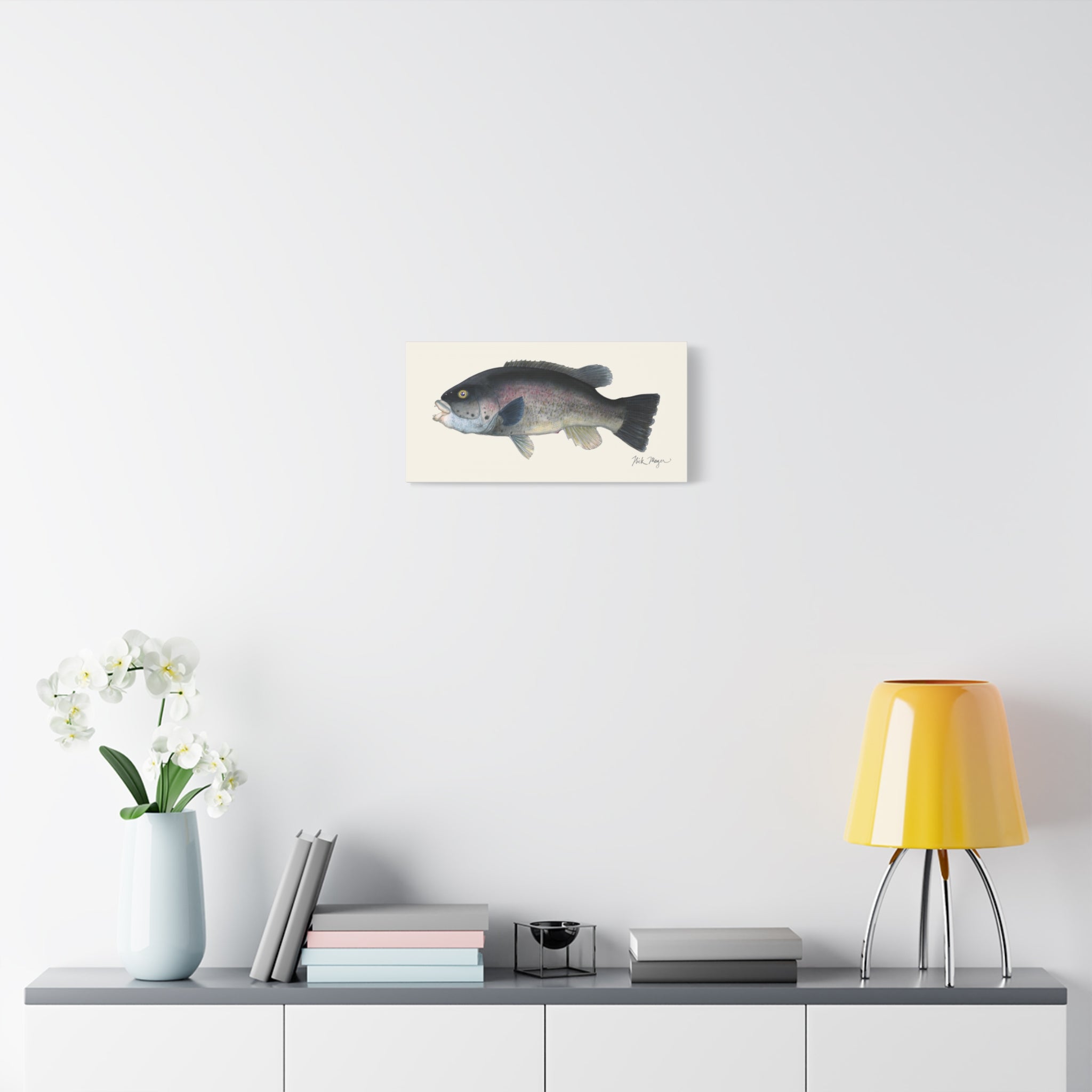 Tautog Canvas Print