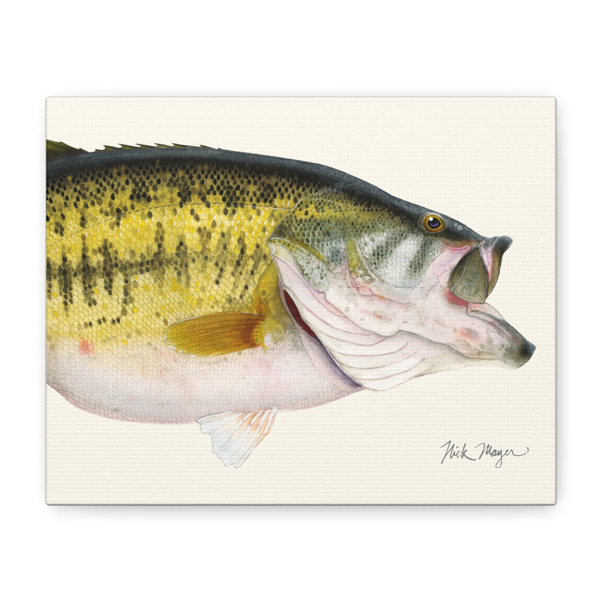 Largemouth Bass II Detail Mini Canvas Print