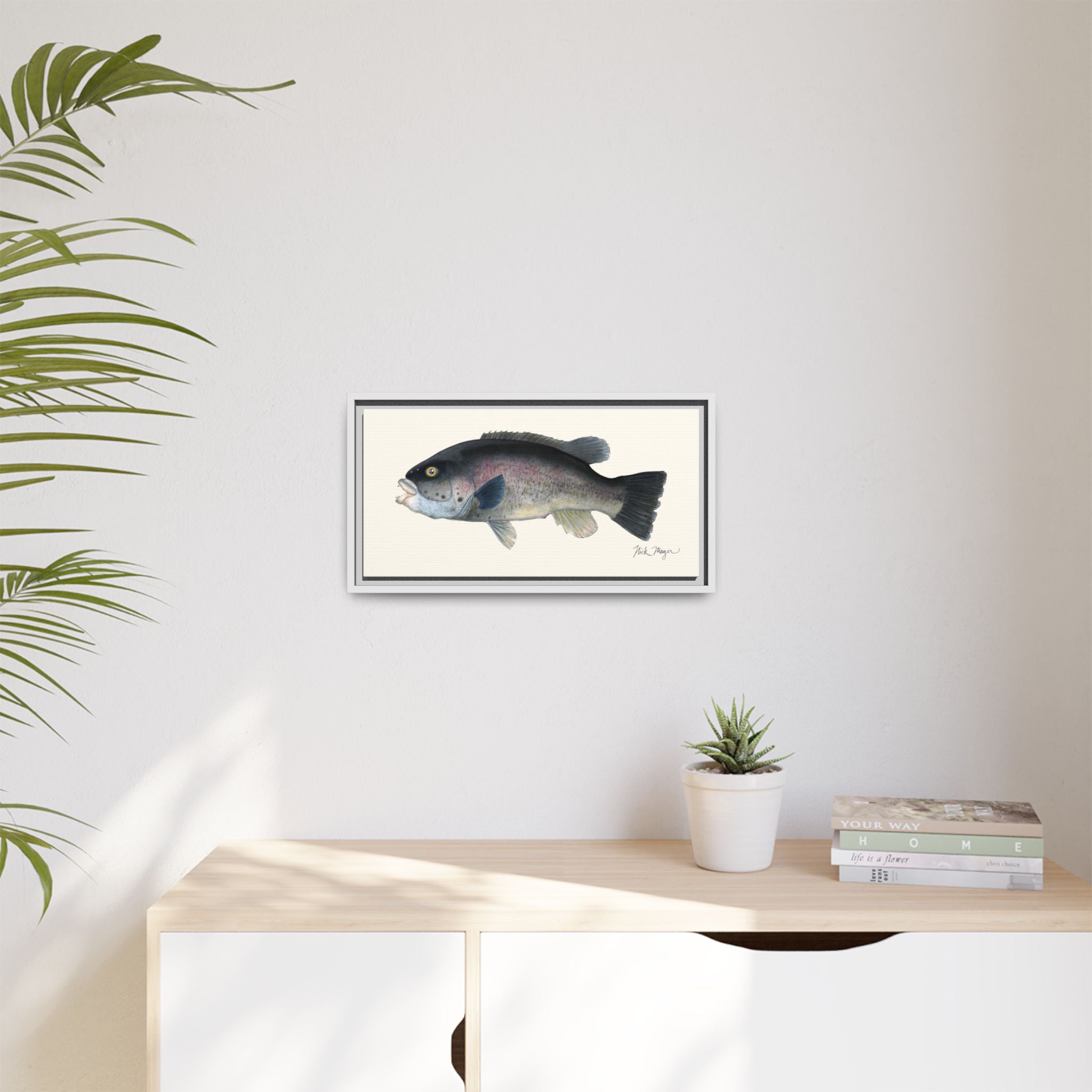 Tautog / Blackfish Framed Canvas Print Printify
