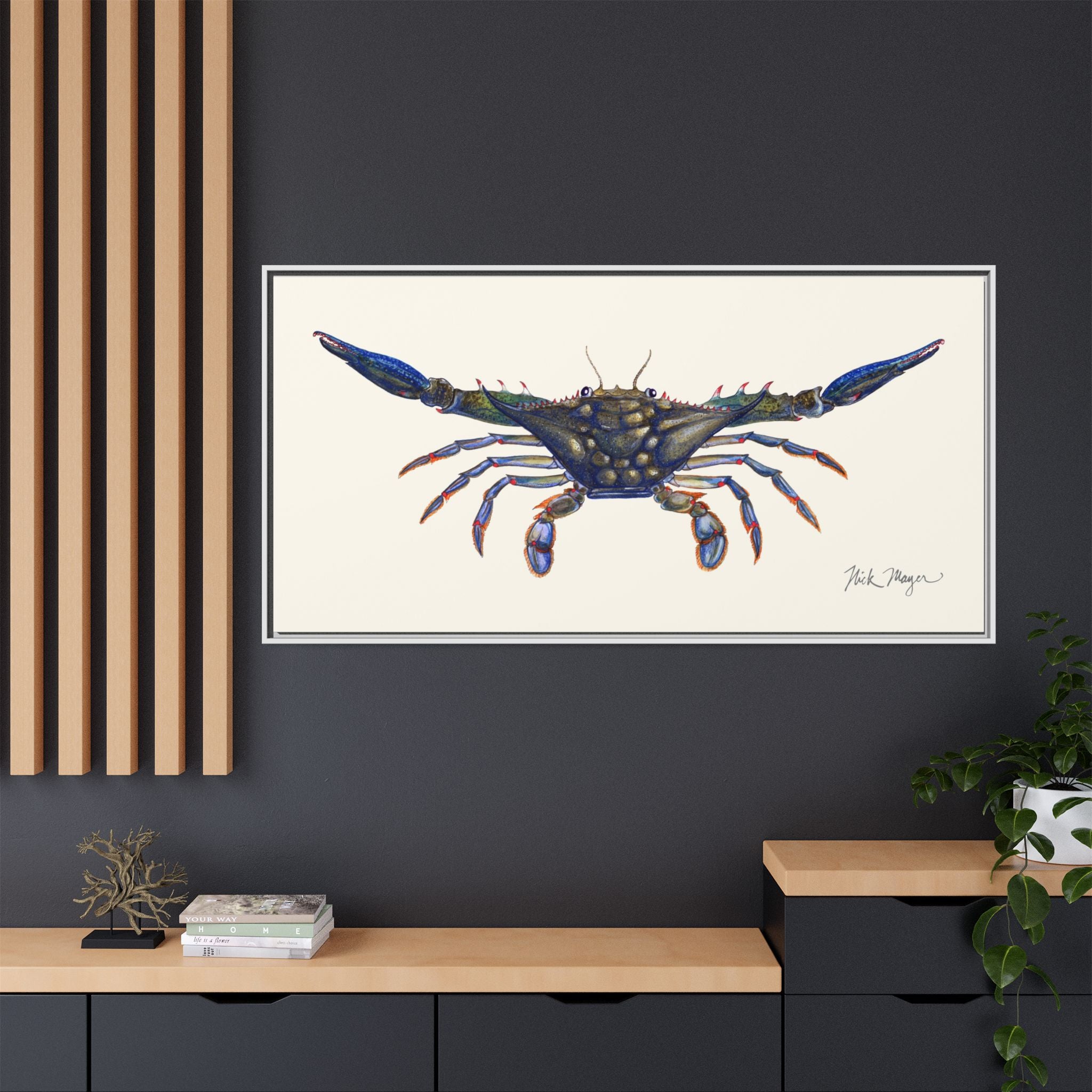 Blue Crab, Claws Out Framed Canvas Print Printify