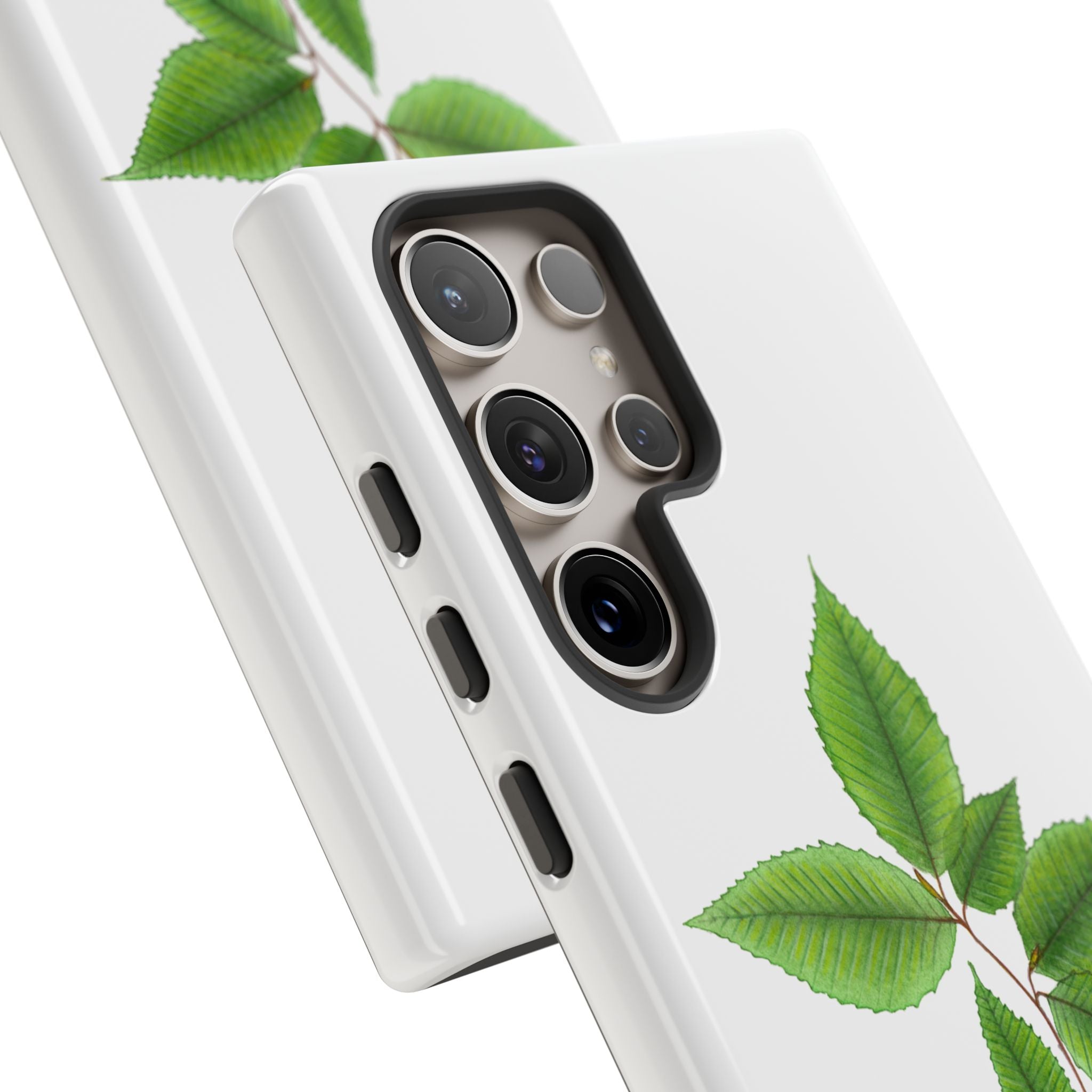 American Beech Phone Case (Samsung)