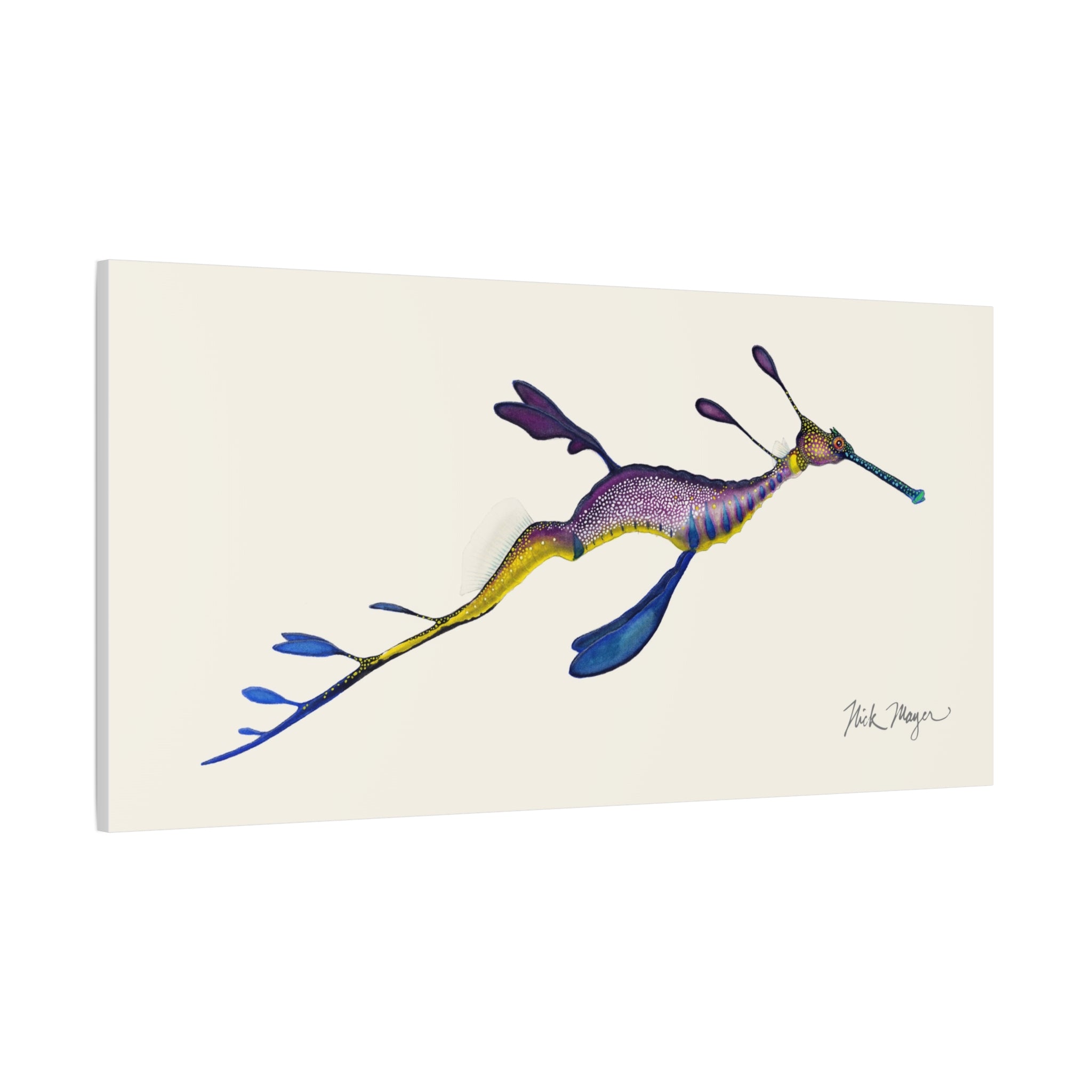 Weedy Sea Dragon Canvas Print