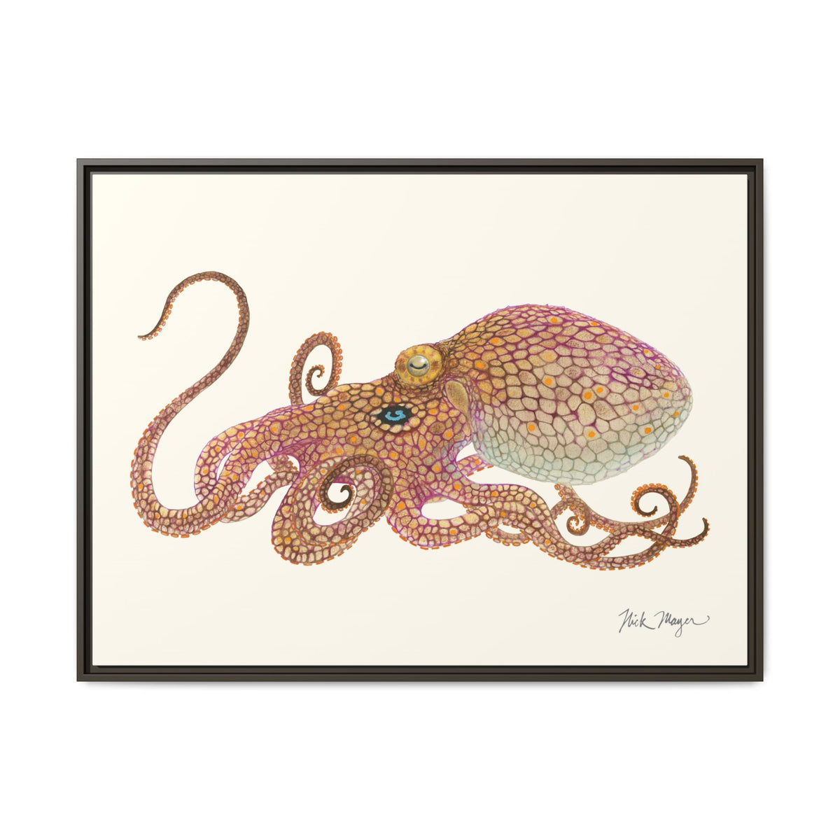 Two Spot Octopus Framed Canvas Print Printify