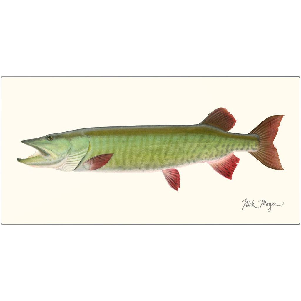 Trophy Muskie Metal Print