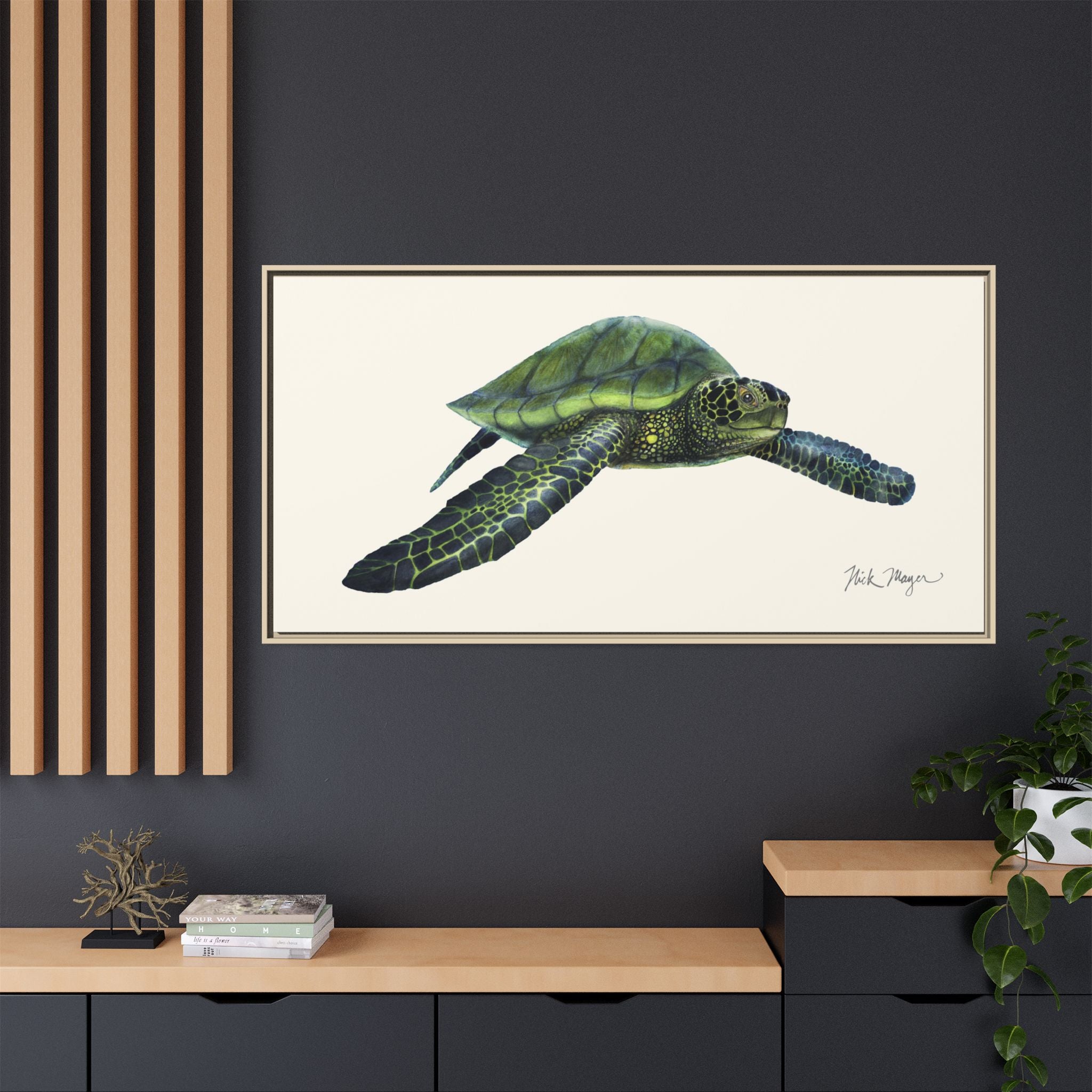 Green Sea Turtle I Framed Canvas Print Printify