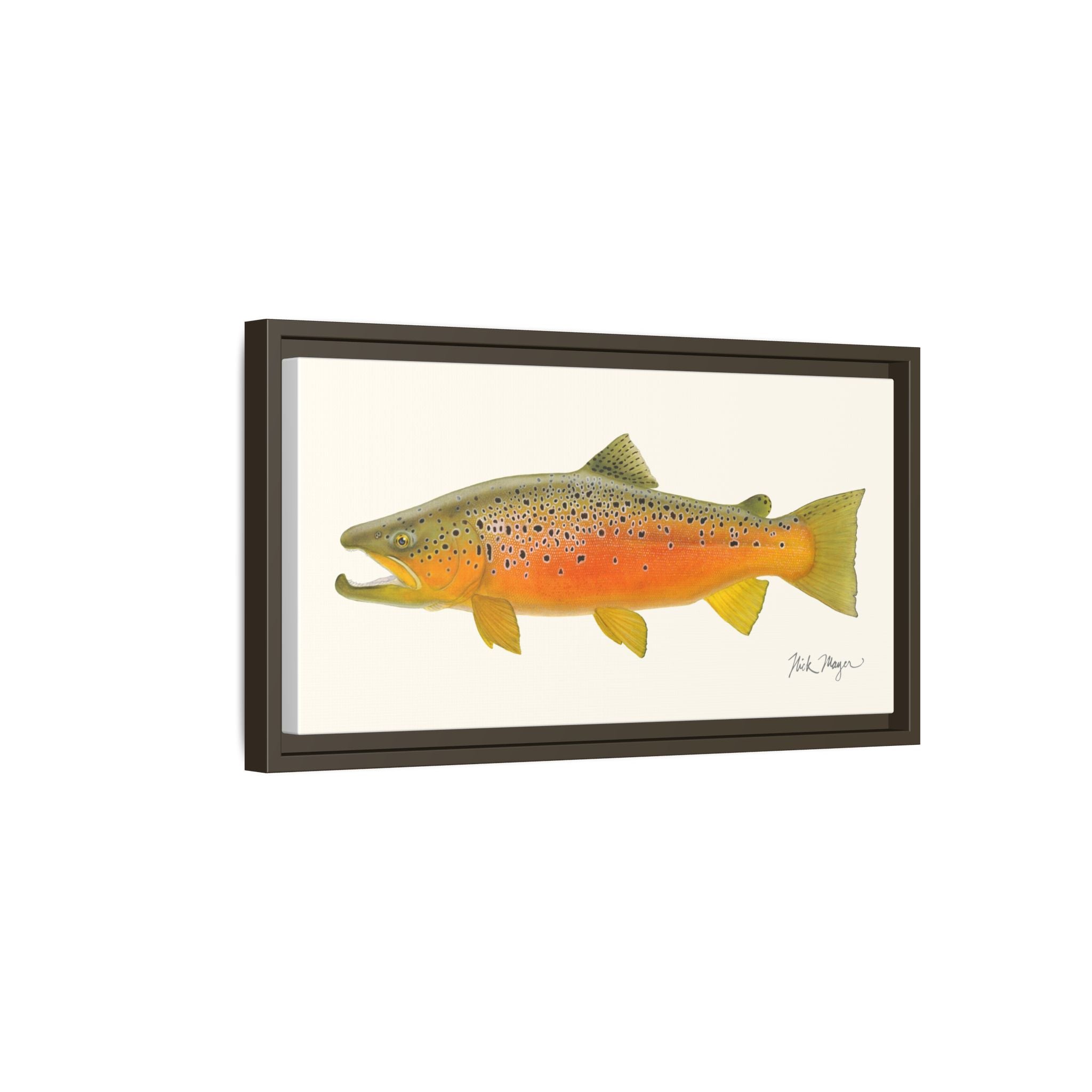 Brown Trout II Framed Canvas Print Printify
